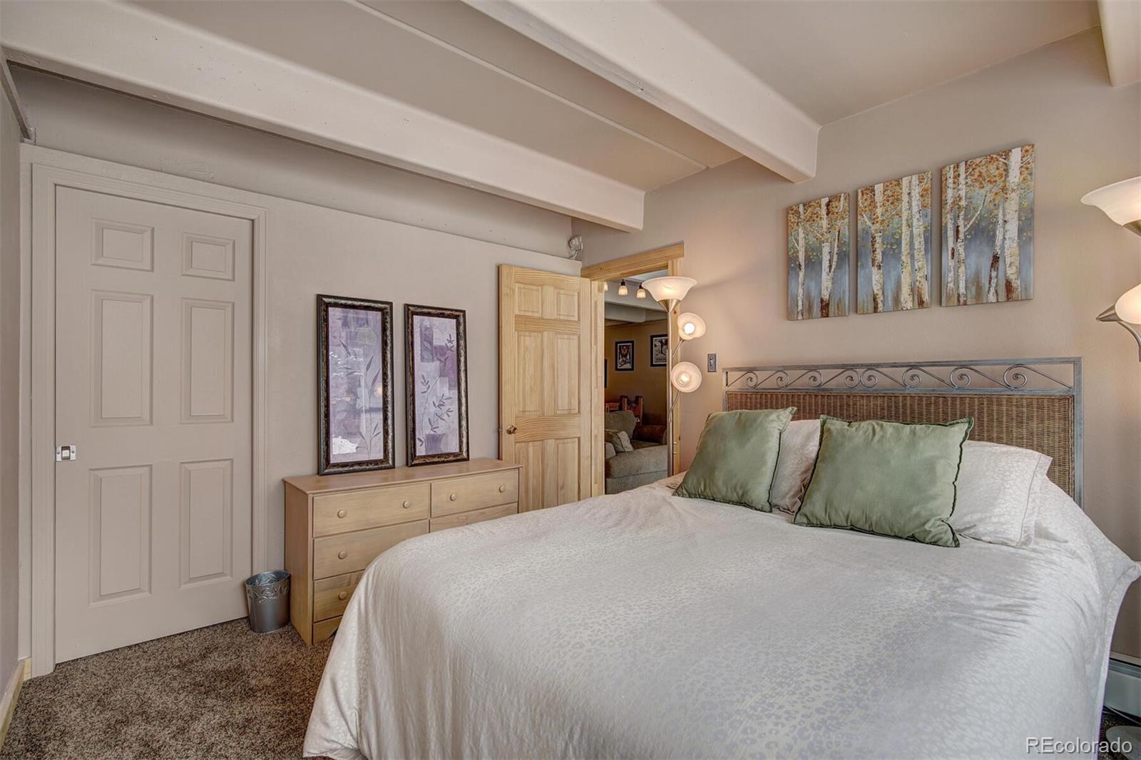 MLS Image #11 for 220 e la bonte street,dillon, Colorado