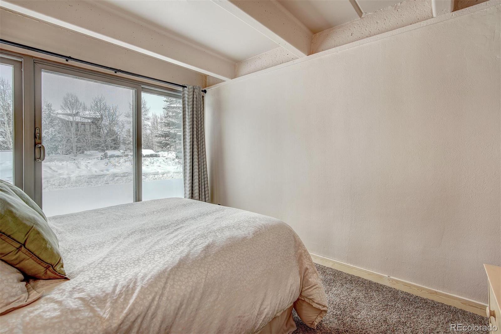 MLS Image #9 for 220 e la bonte street,dillon, Colorado
