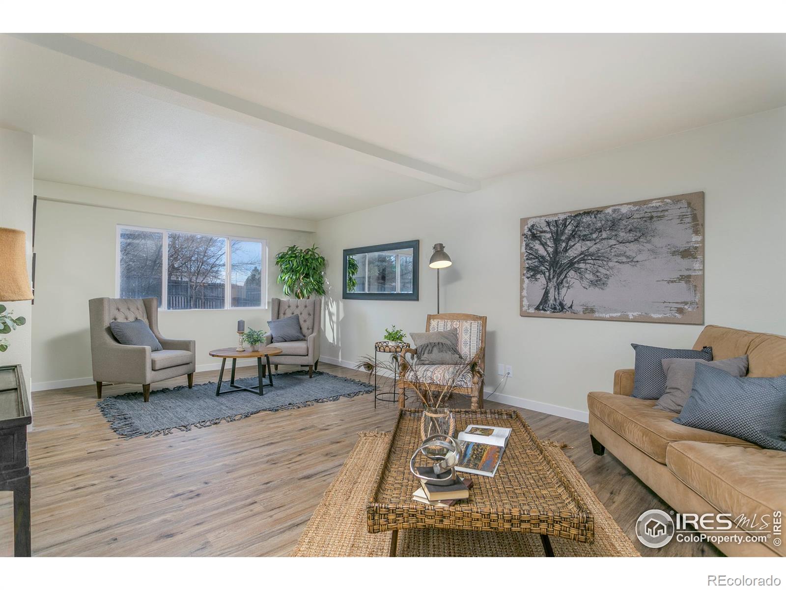 MLS Image #5 for 505  sherri drive,loveland, Colorado