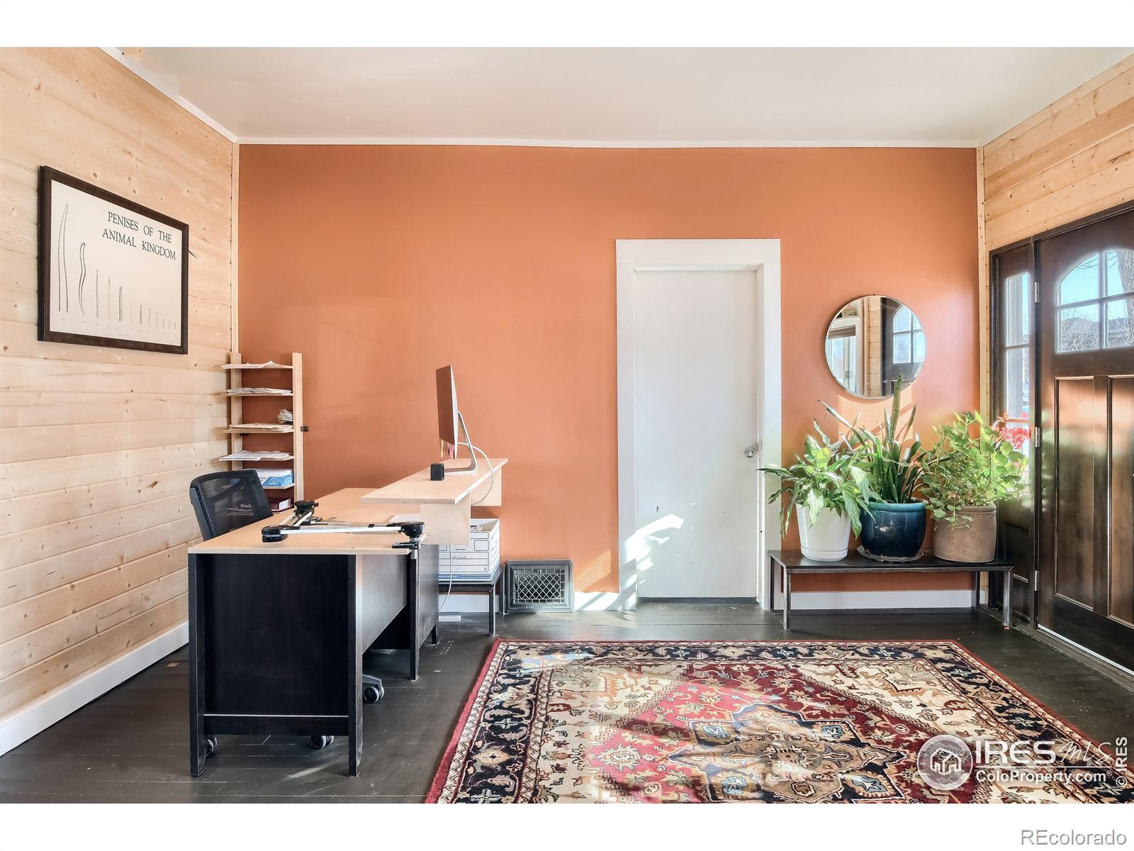 MLS Image #7 for 425  dillingham avenue,mead, Colorado