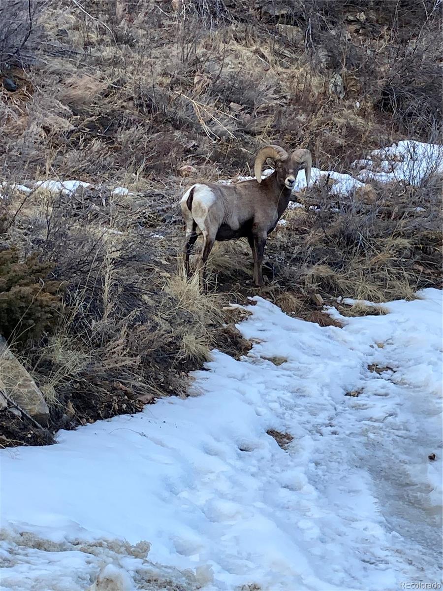 MLS Image #23 for 2547  mill creek road,dumont, Colorado