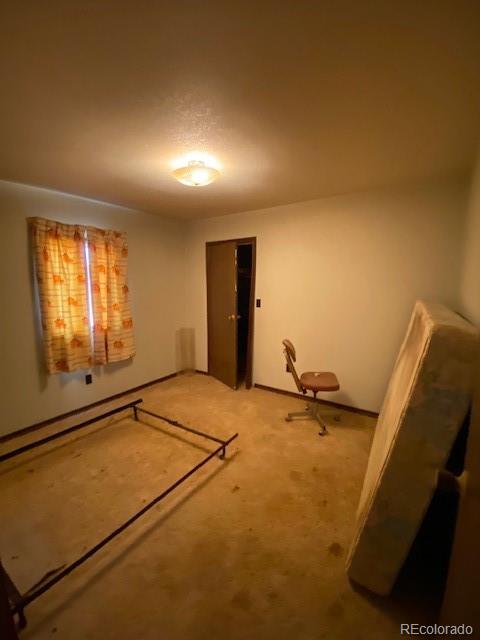 MLS Image #18 for 5525  tamlin road,colorado springs, Colorado