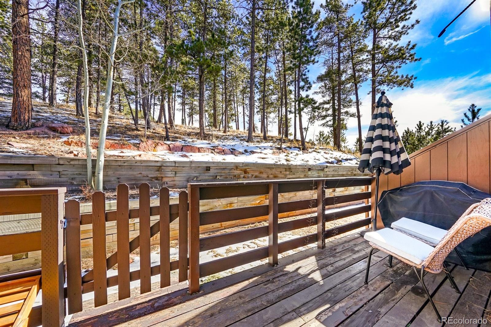 MLS Image #12 for 590  manor court,woodland park, Colorado