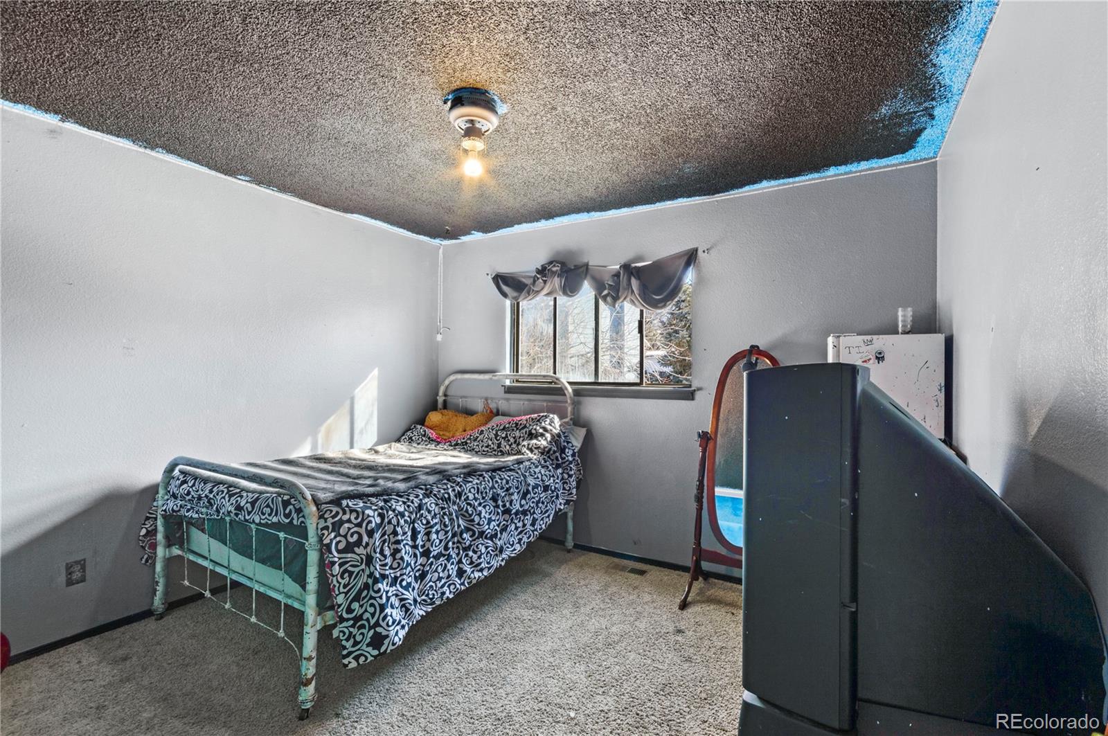 MLS Image #9 for 10  spruce court,parachute, Colorado