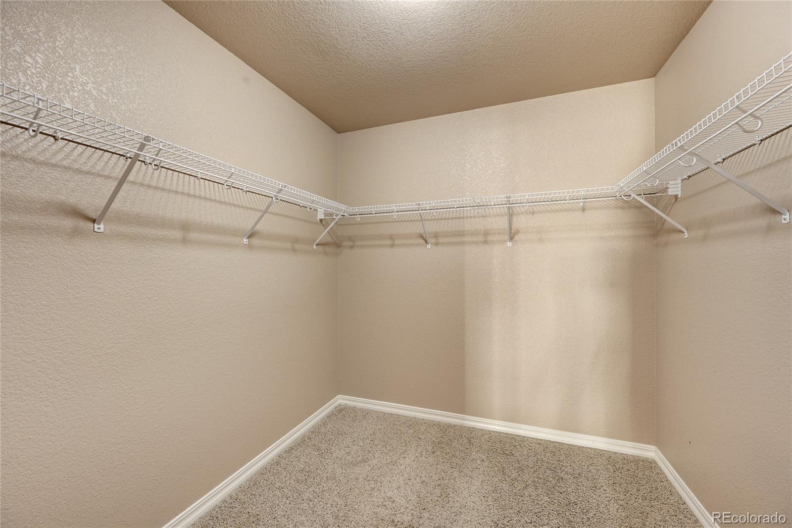 MLS Image #28 for 840  fire rock place,colorado springs, Colorado