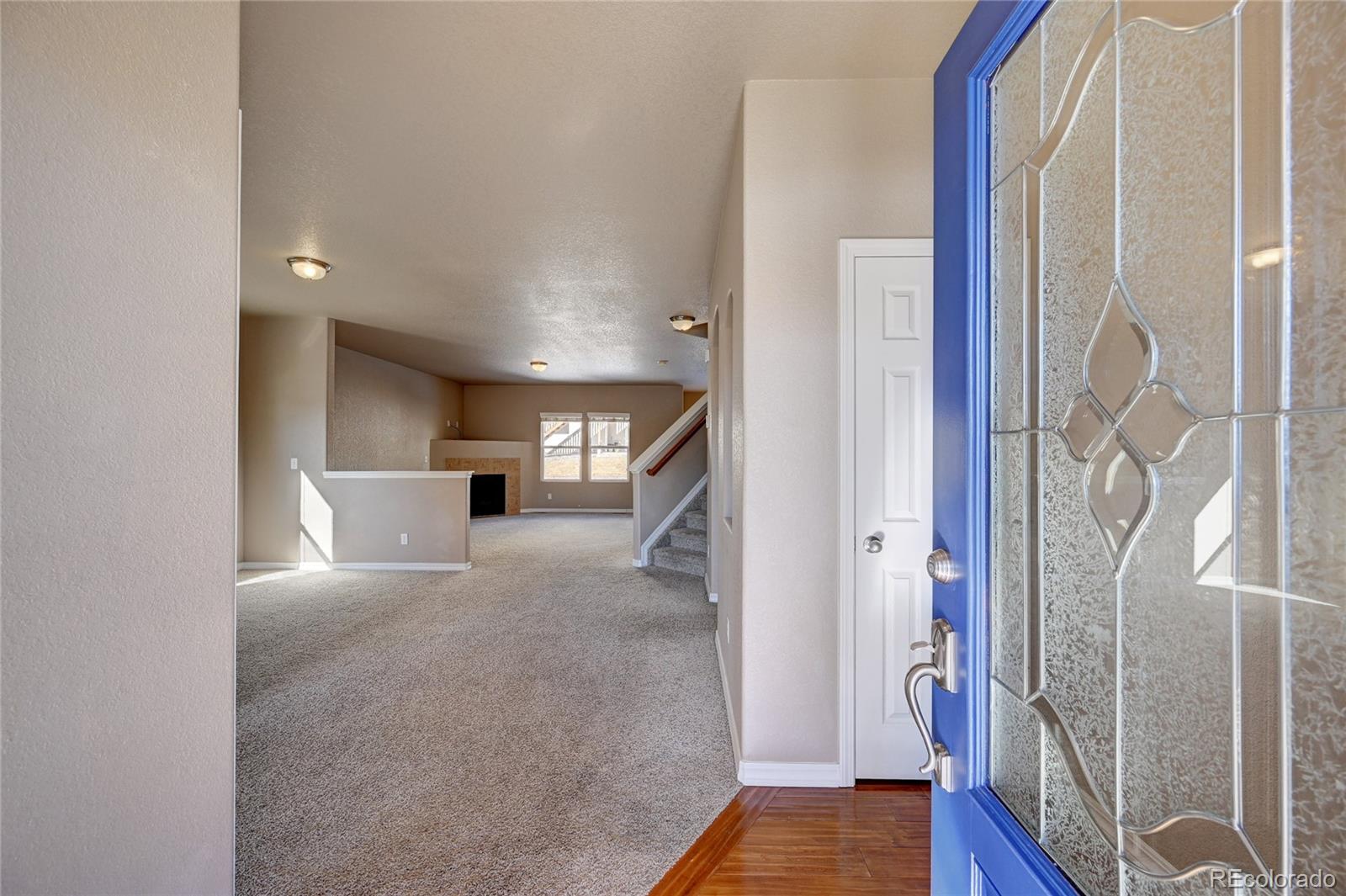 MLS Image #5 for 840  fire rock place,colorado springs, Colorado