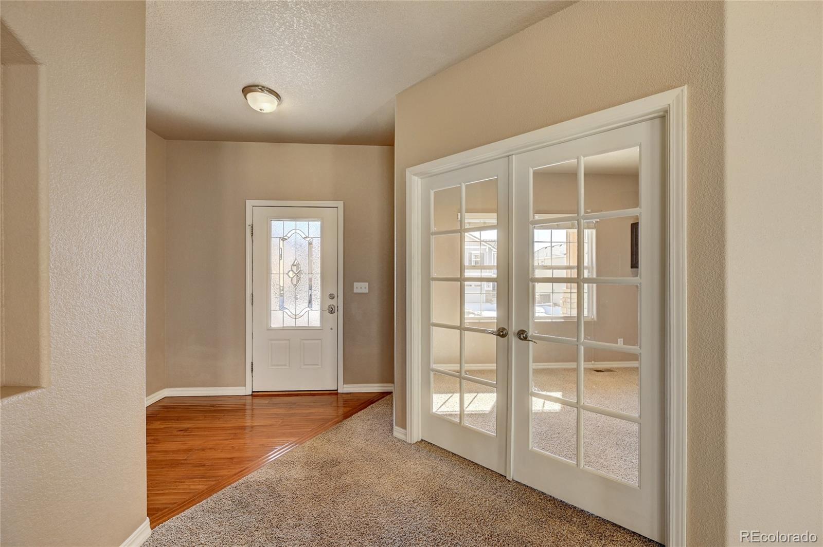 MLS Image #6 for 840  fire rock place,colorado springs, Colorado