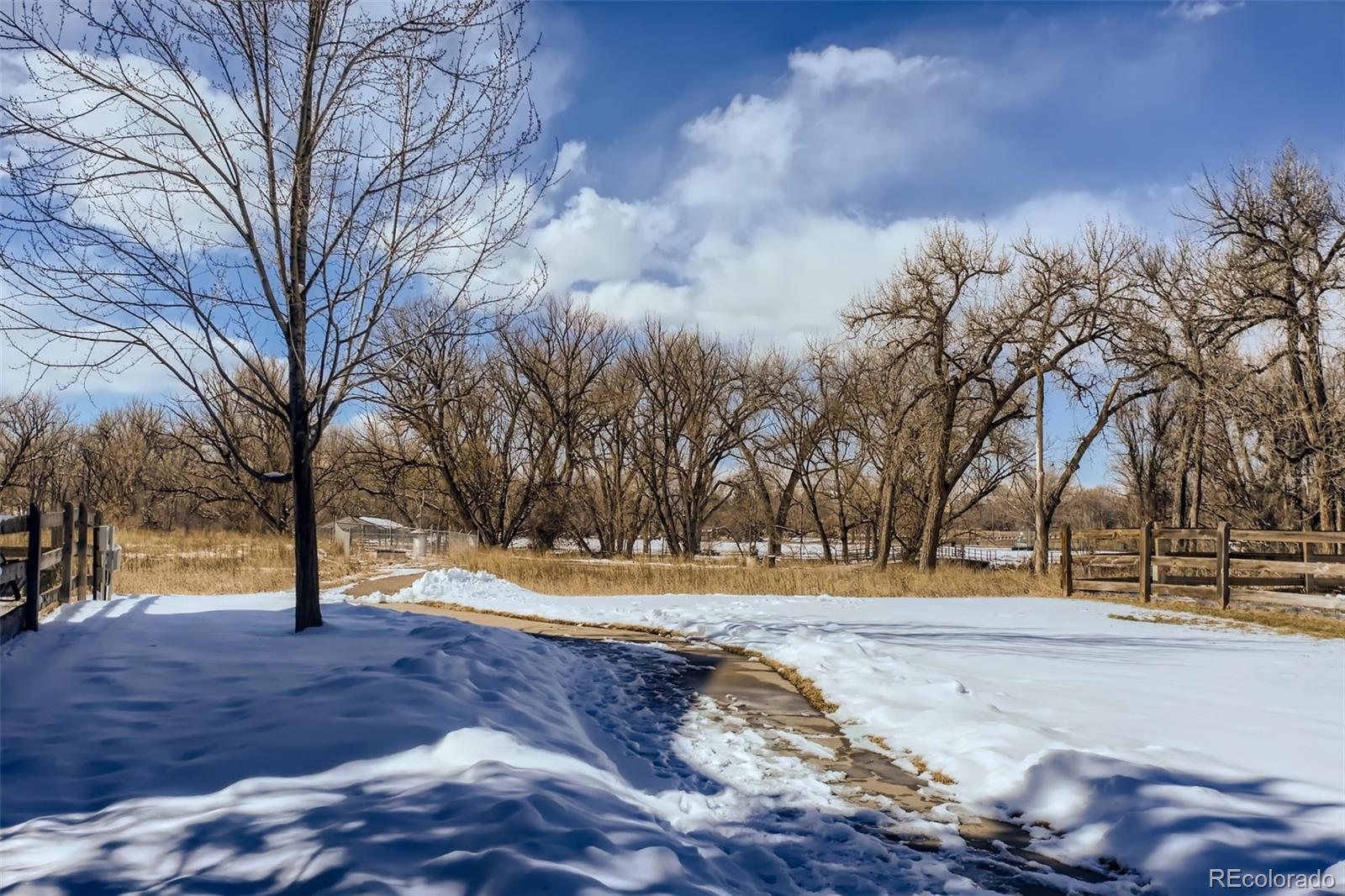 MLS Image #24 for 4271 w kenyon avenue,denver, Colorado
