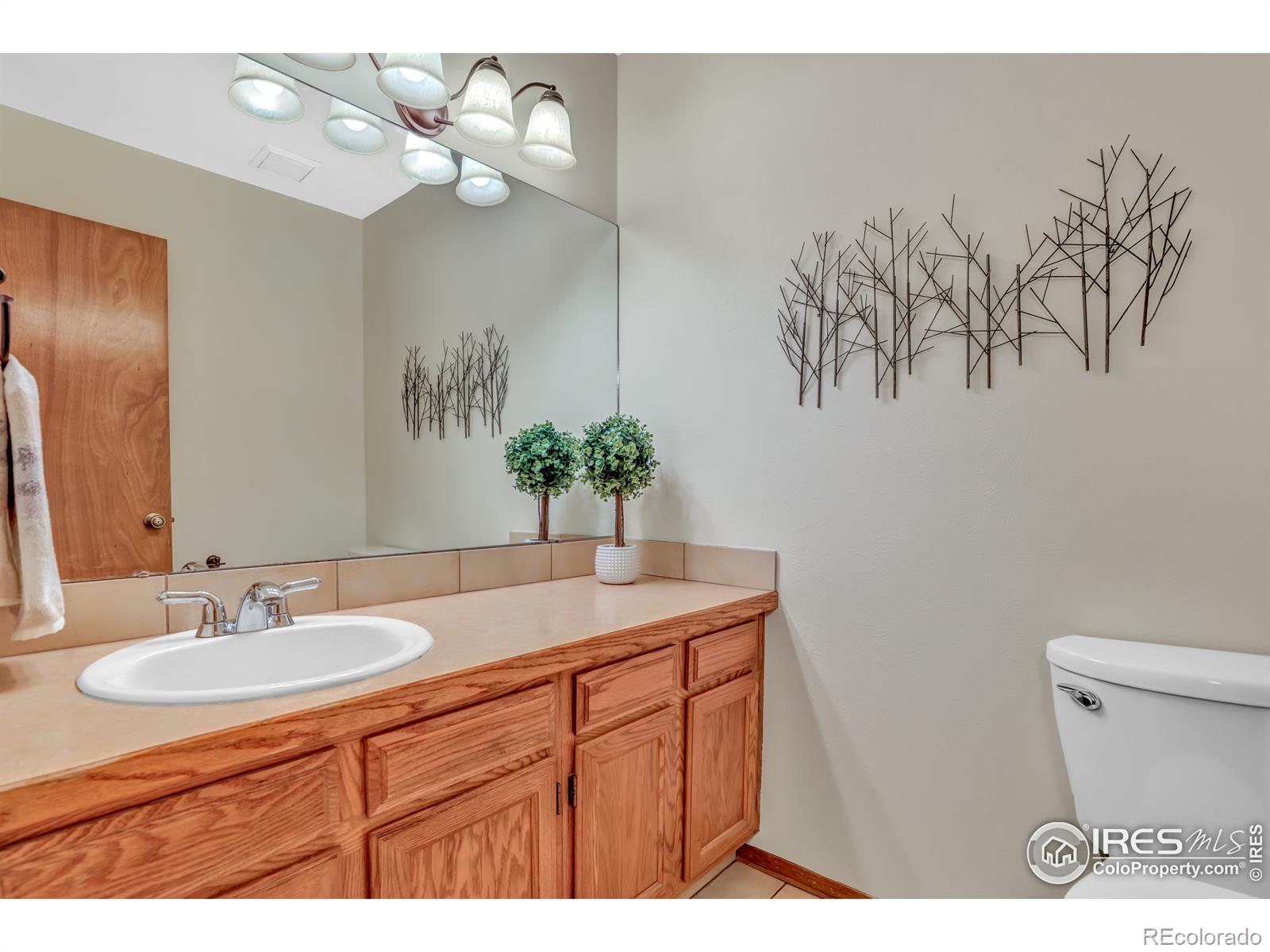 MLS Image #13 for 953  reynolds farm lane,longmont, Colorado