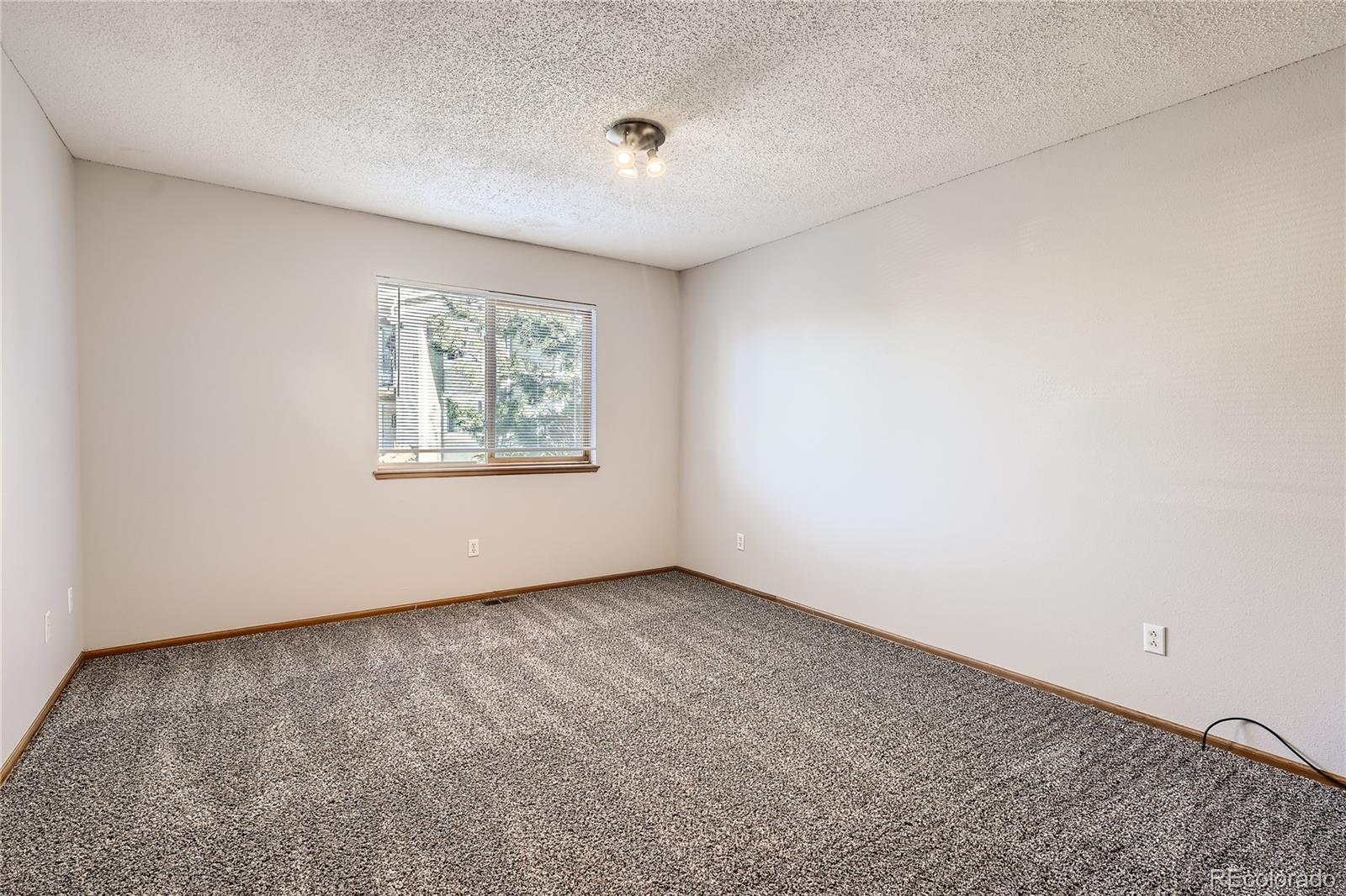 MLS Image #17 for 1010  magic lamp way,monument, Colorado