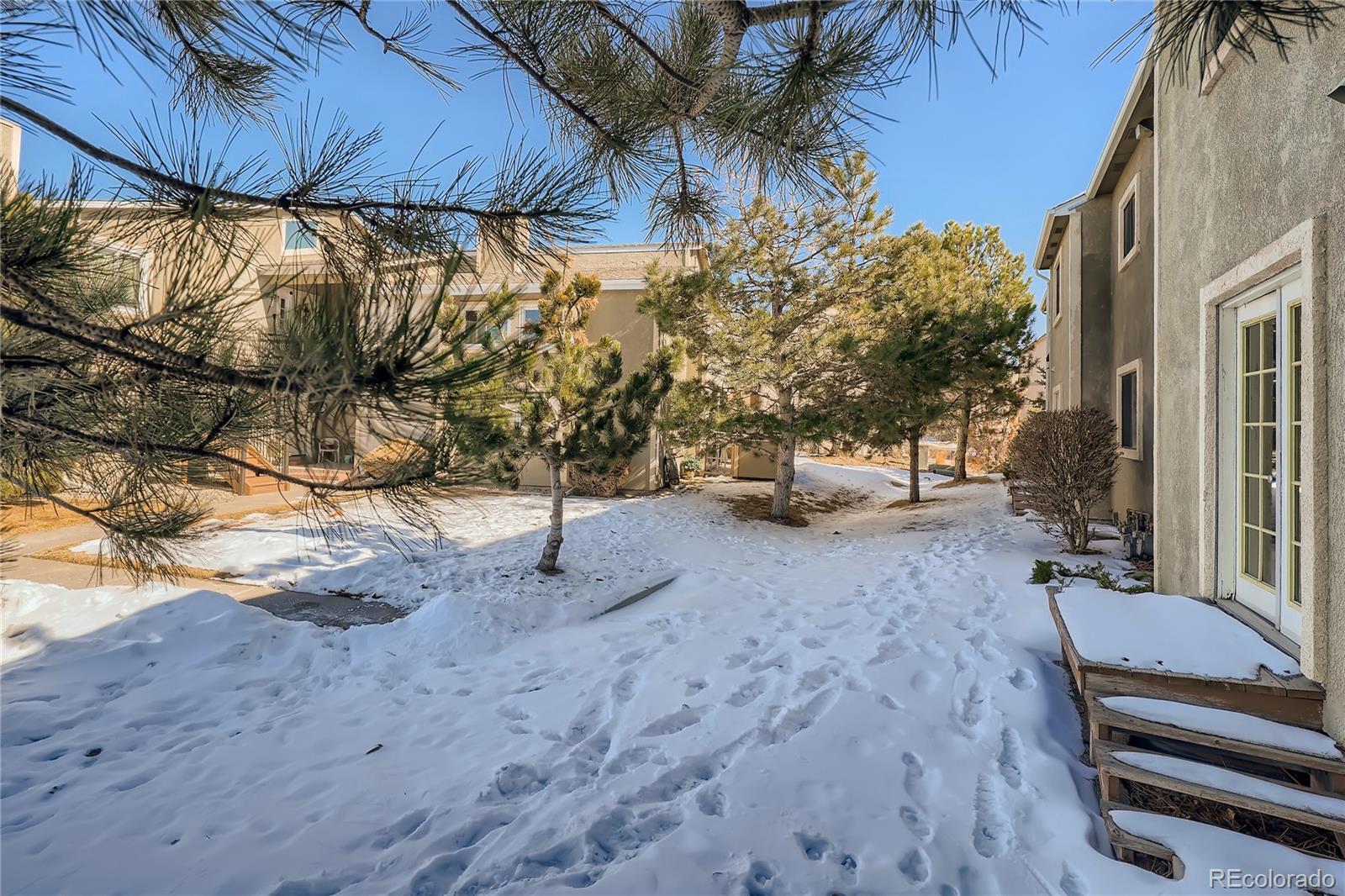 MLS Image #26 for 1010  magic lamp way,monument, Colorado