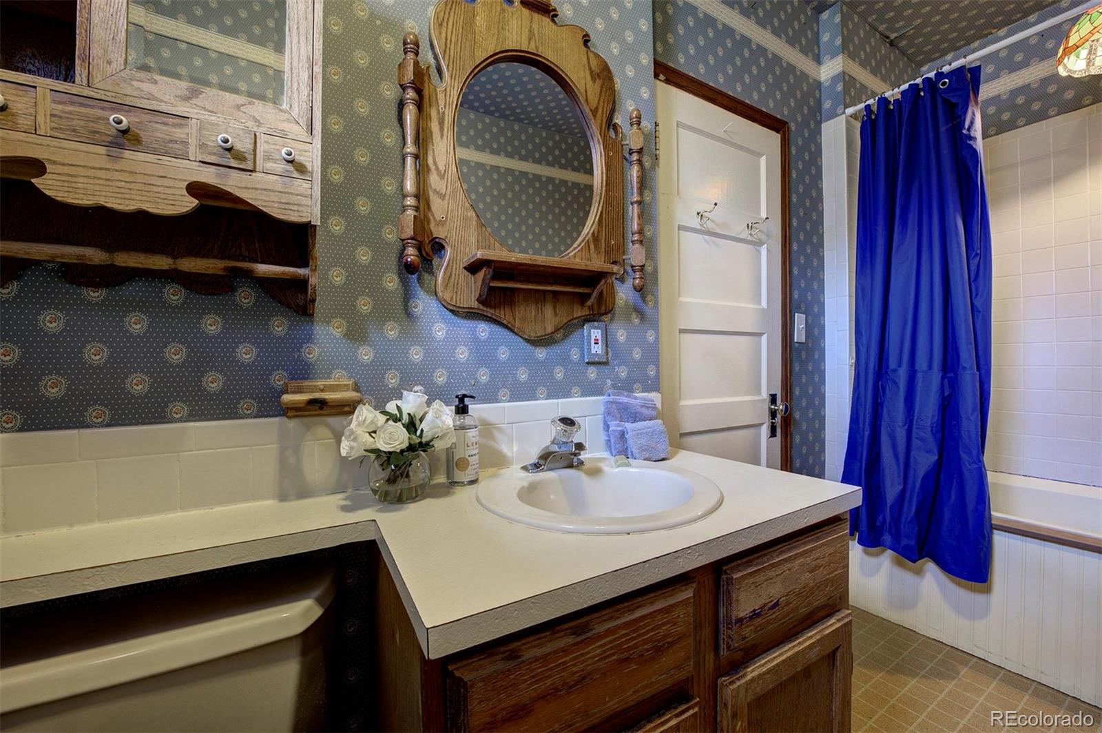 MLS Image #10 for 201 s park avenue,morrison, Colorado