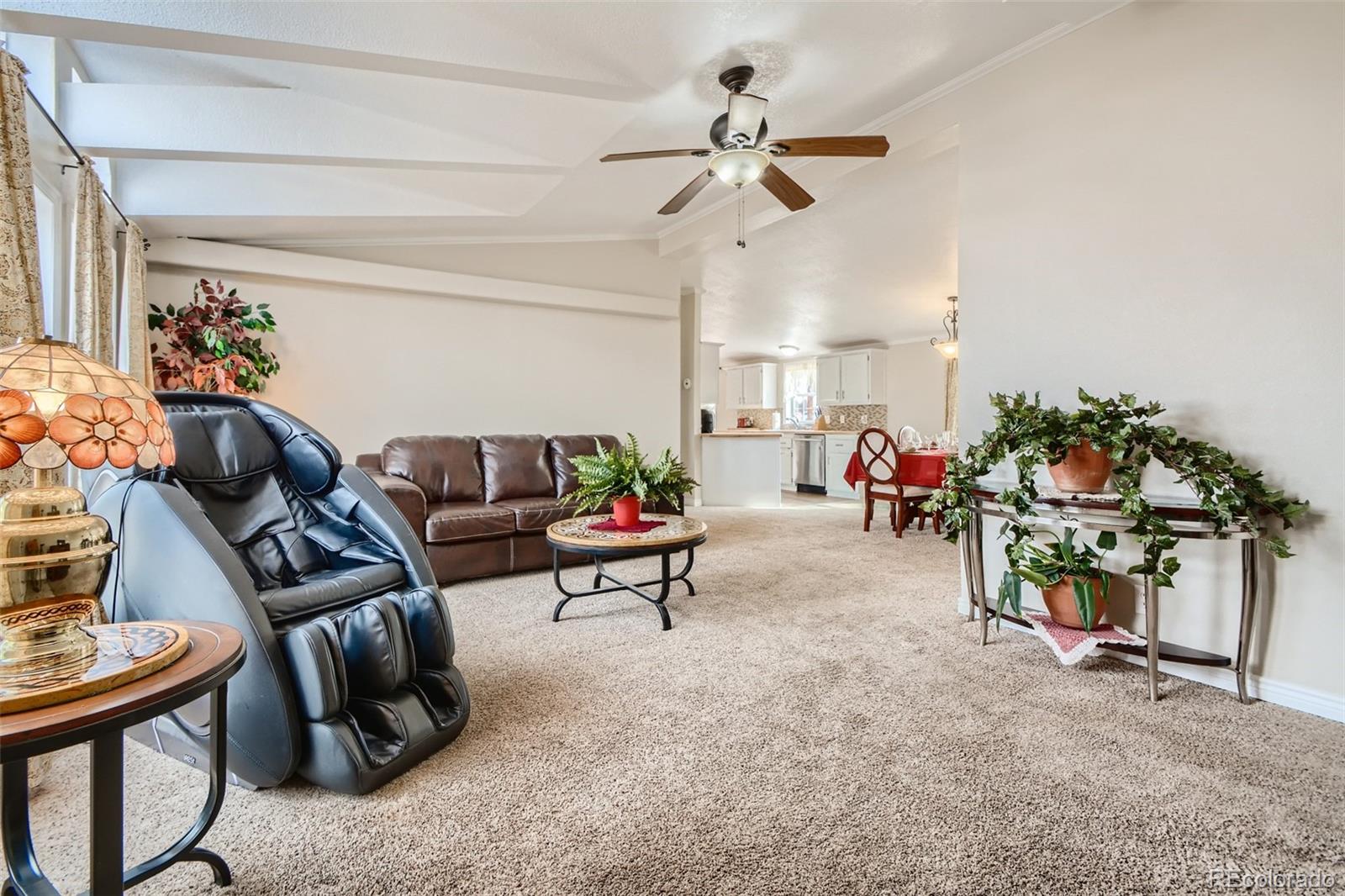MLS Image #6 for 58370 e 40th drive,strasburg, Colorado