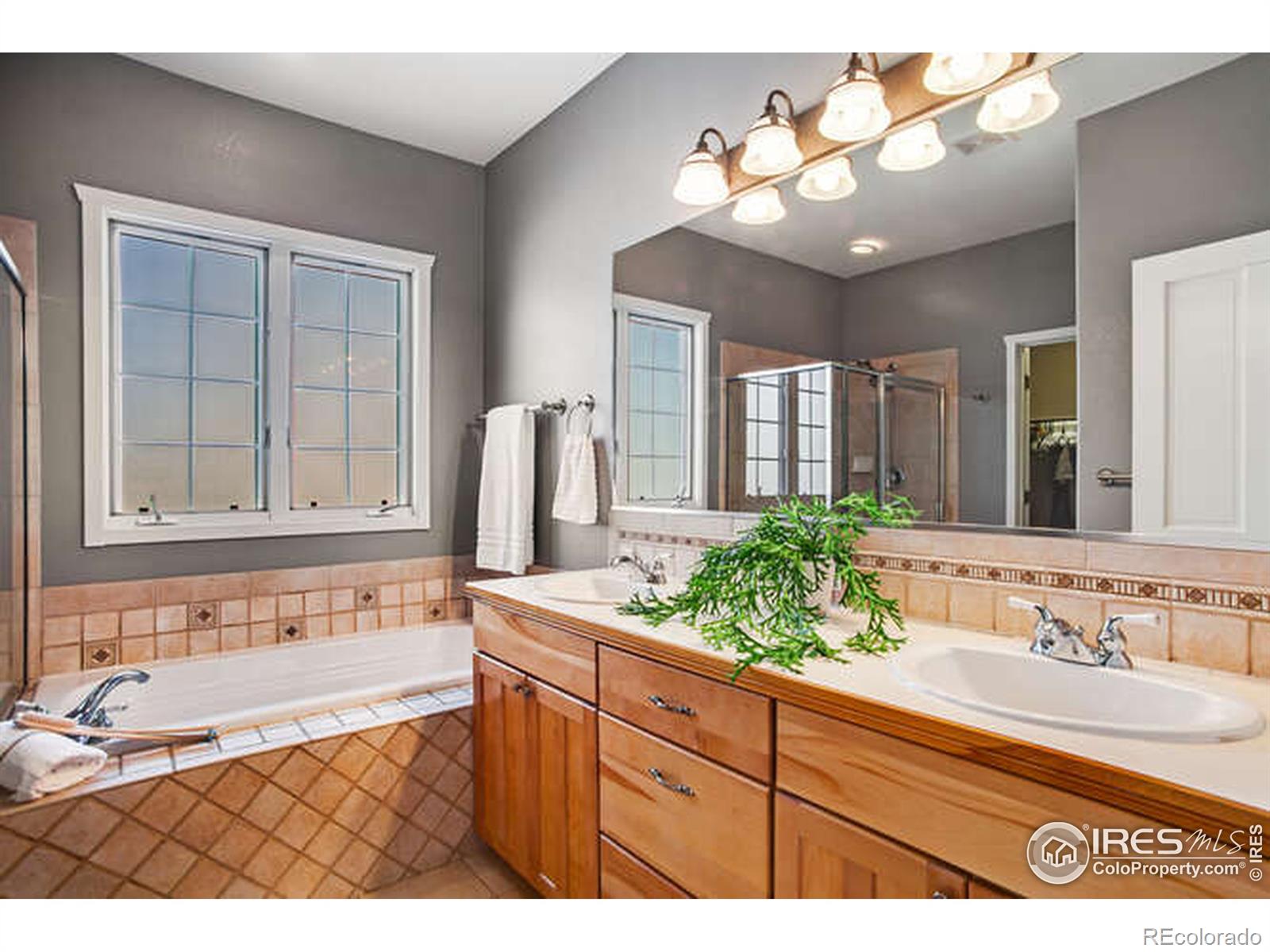 MLS Image #13 for 1110  corona drive,severance, Colorado