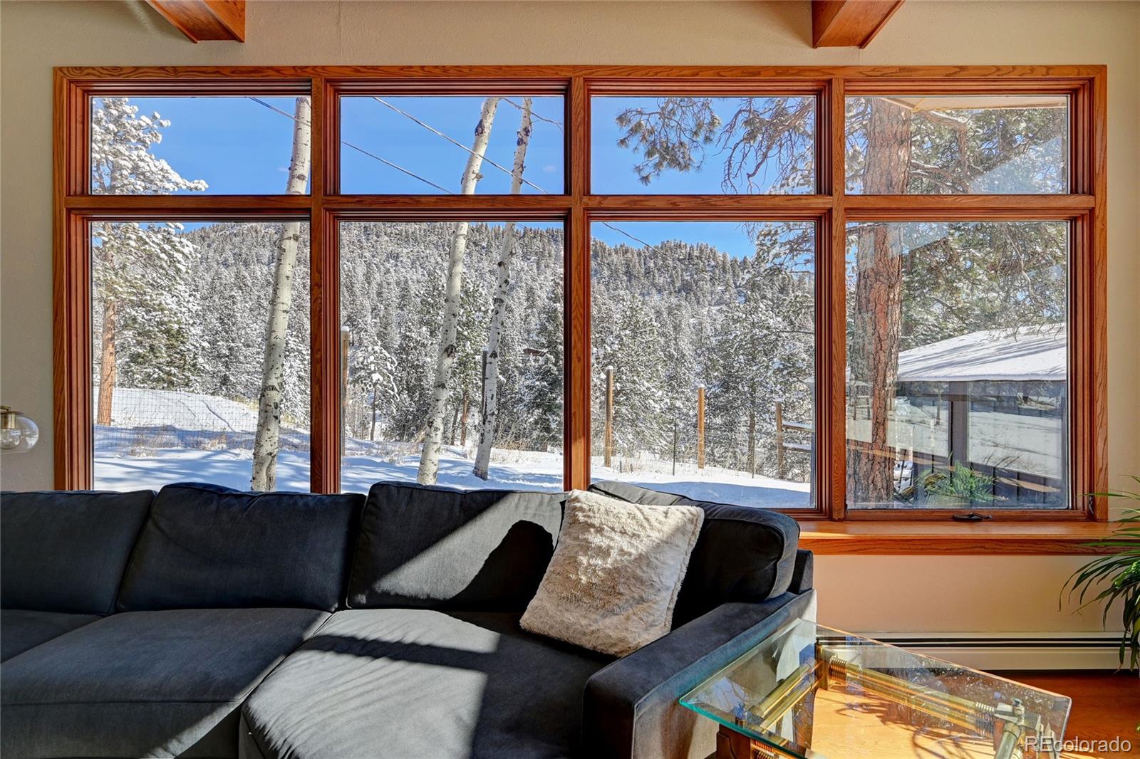 MLS Image #1 for 31517  niakwa road,evergreen, Colorado