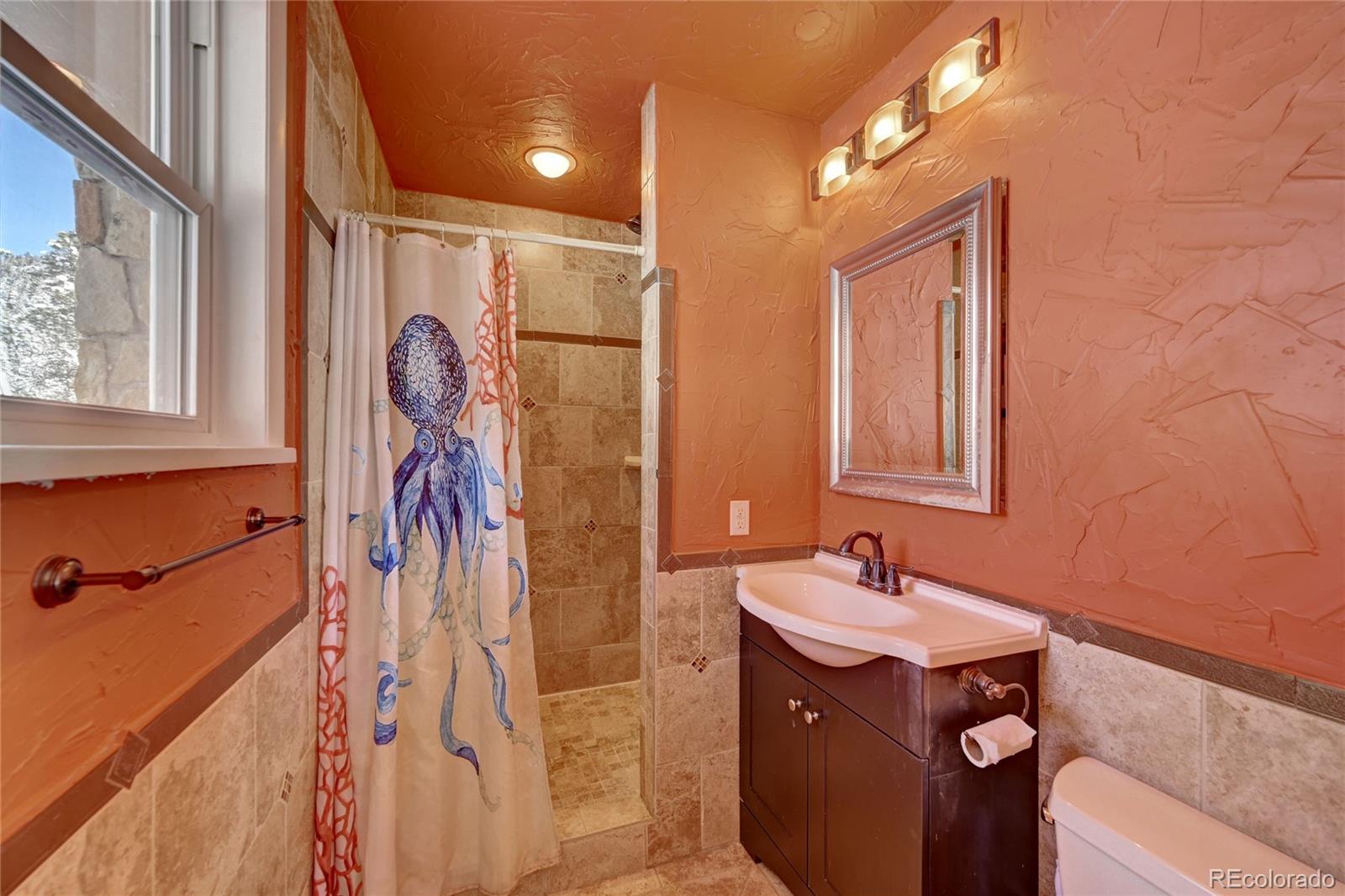 MLS Image #23 for 31517  niakwa road,evergreen, Colorado