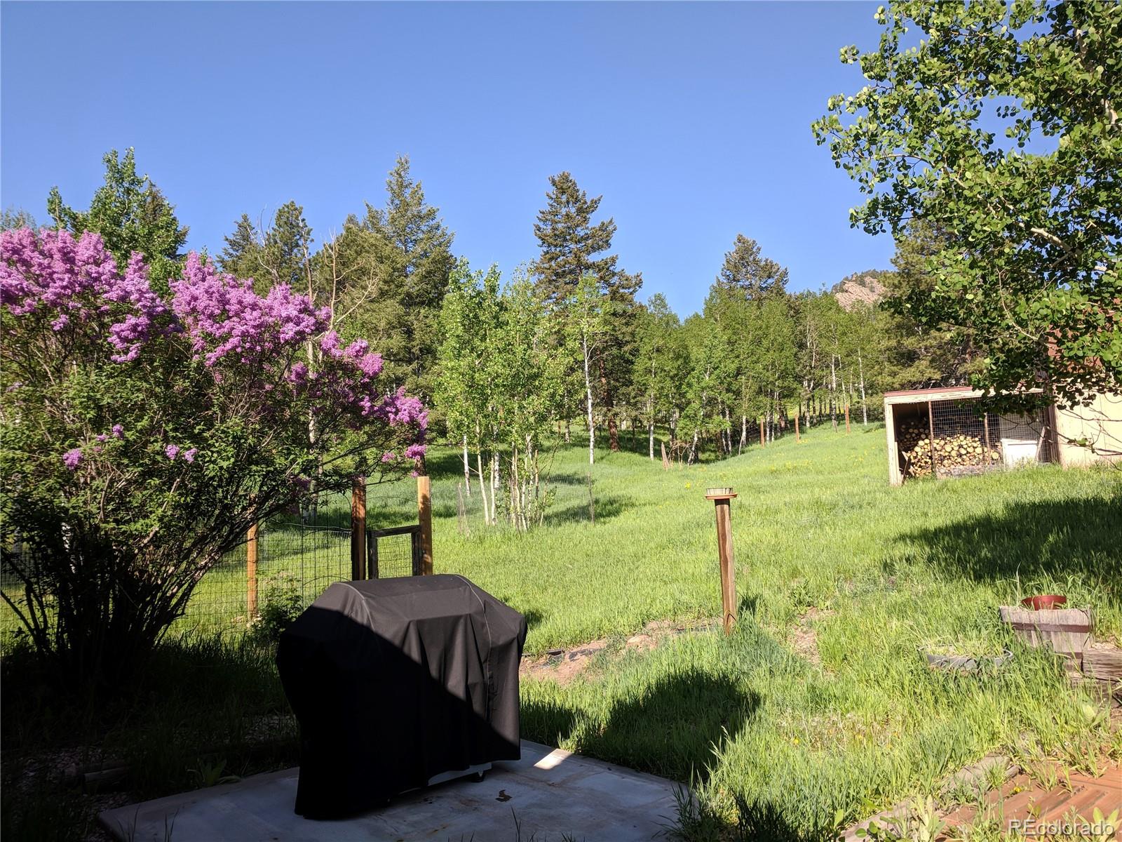 MLS Image #39 for 31517  niakwa road,evergreen, Colorado