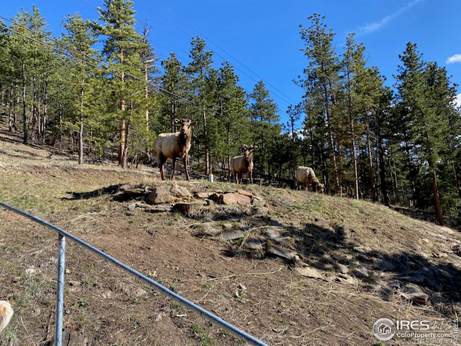MLS Image #21 for 2564  us highway 34 highway,drake, Colorado