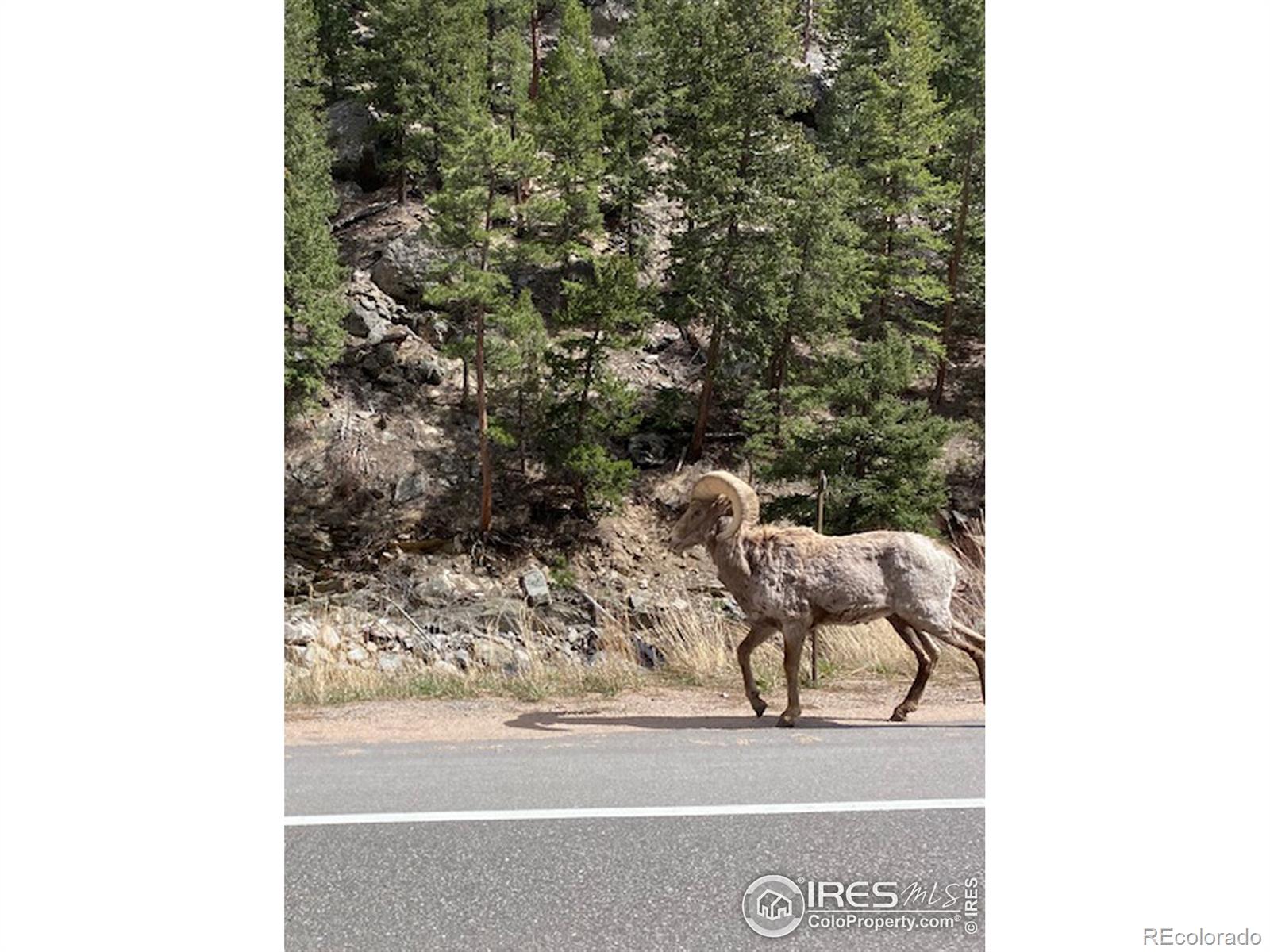 MLS Image #22 for 2564  us highway 34 highway,drake, Colorado