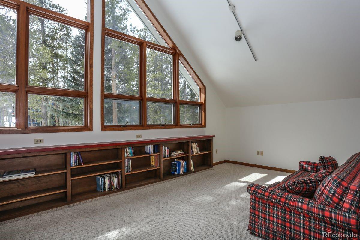 MLS Image #28 for 382  shekel lane,breckenridge, Colorado