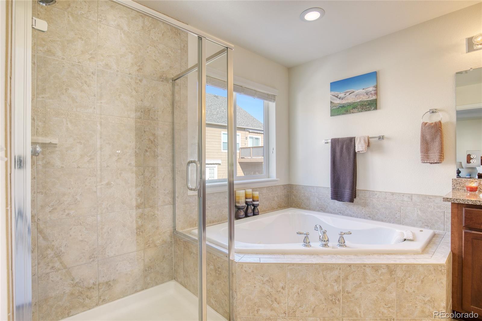 MLS Image #15 for 924  fire rock place,colorado springs, Colorado