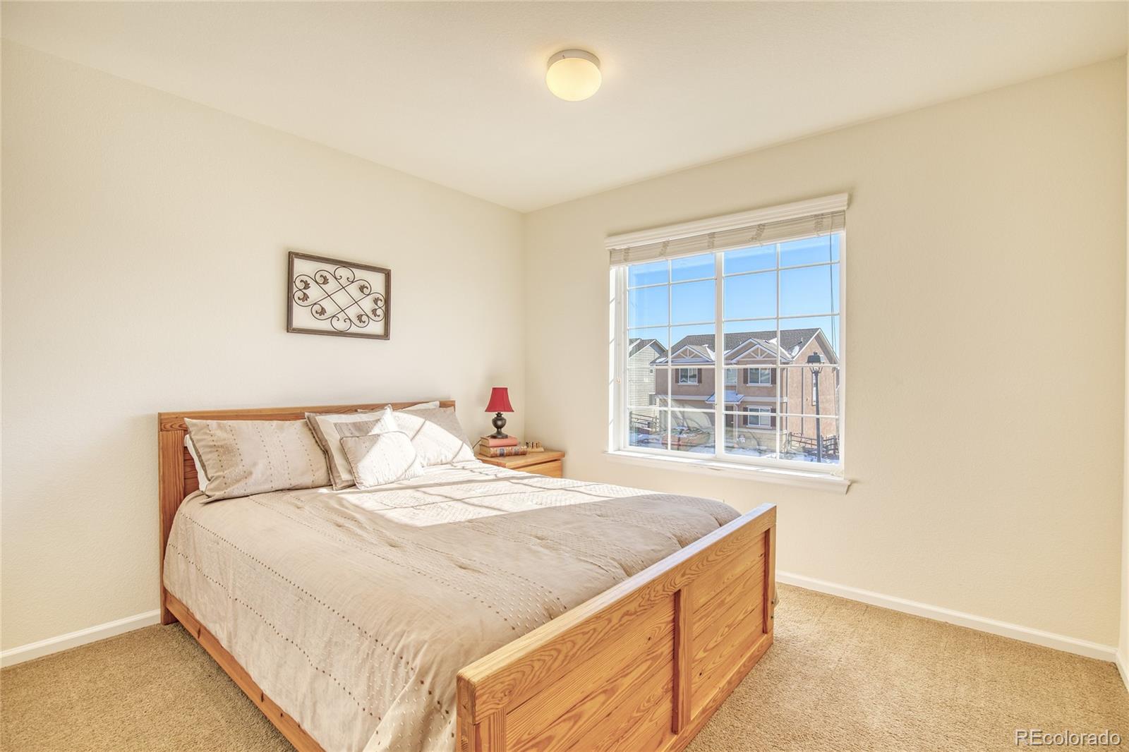 MLS Image #17 for 924  fire rock place,colorado springs, Colorado