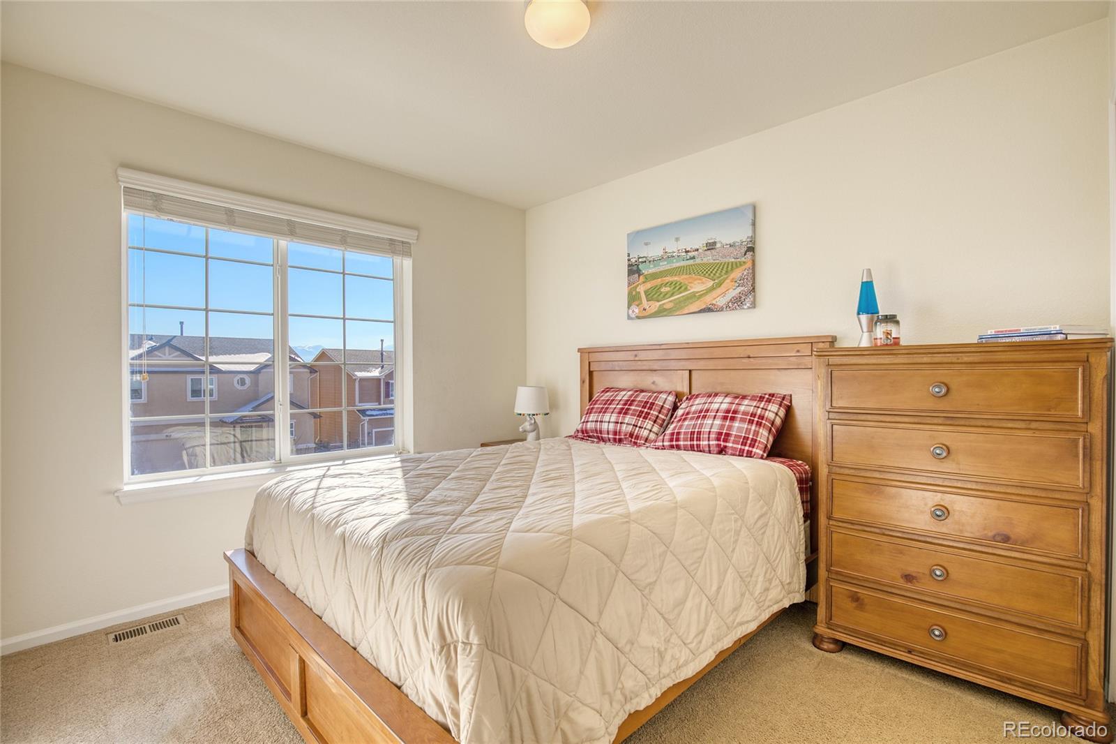 MLS Image #20 for 924  fire rock place,colorado springs, Colorado
