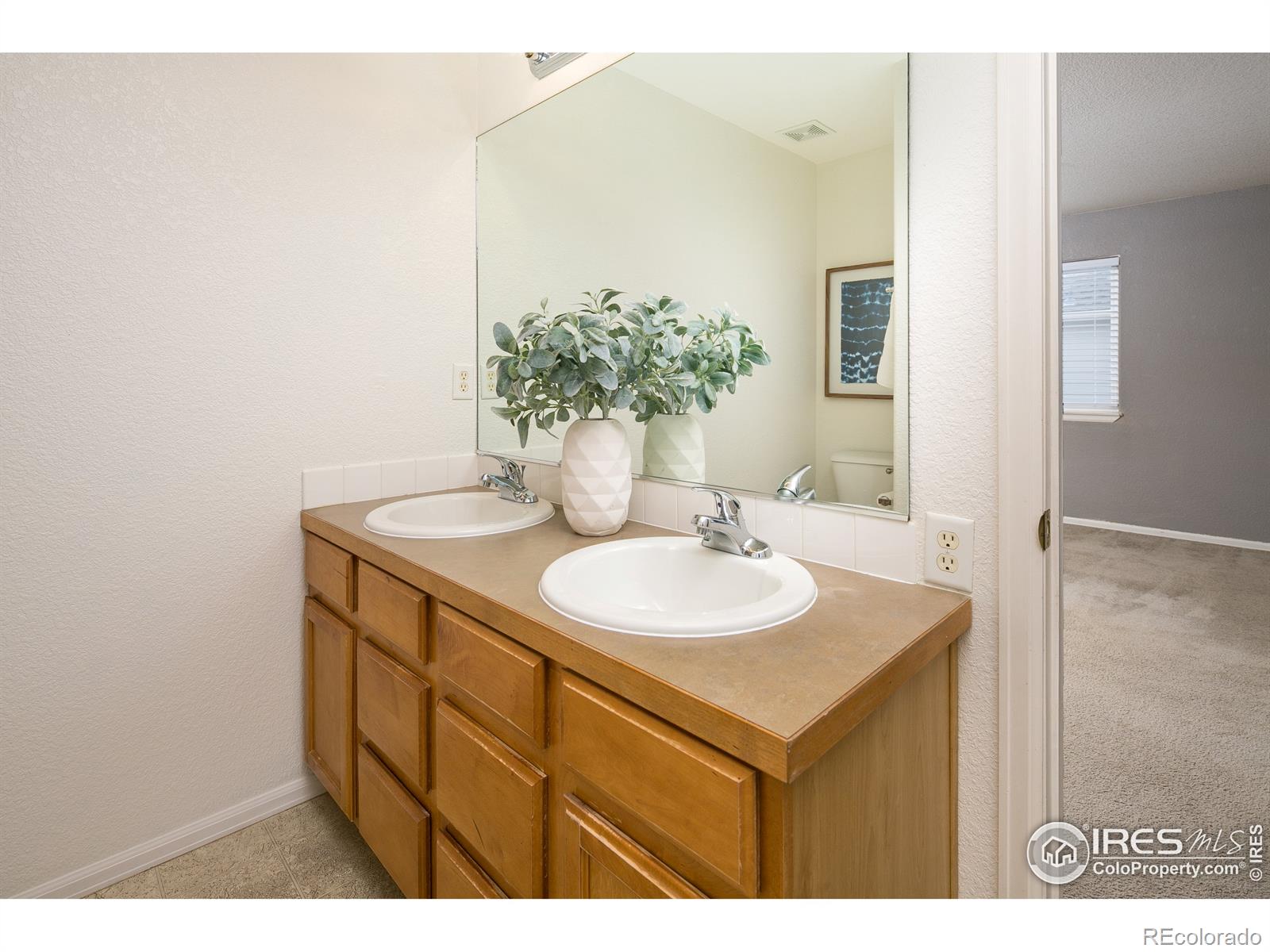MLS Image #21 for 109  keystone drive,severance, Colorado