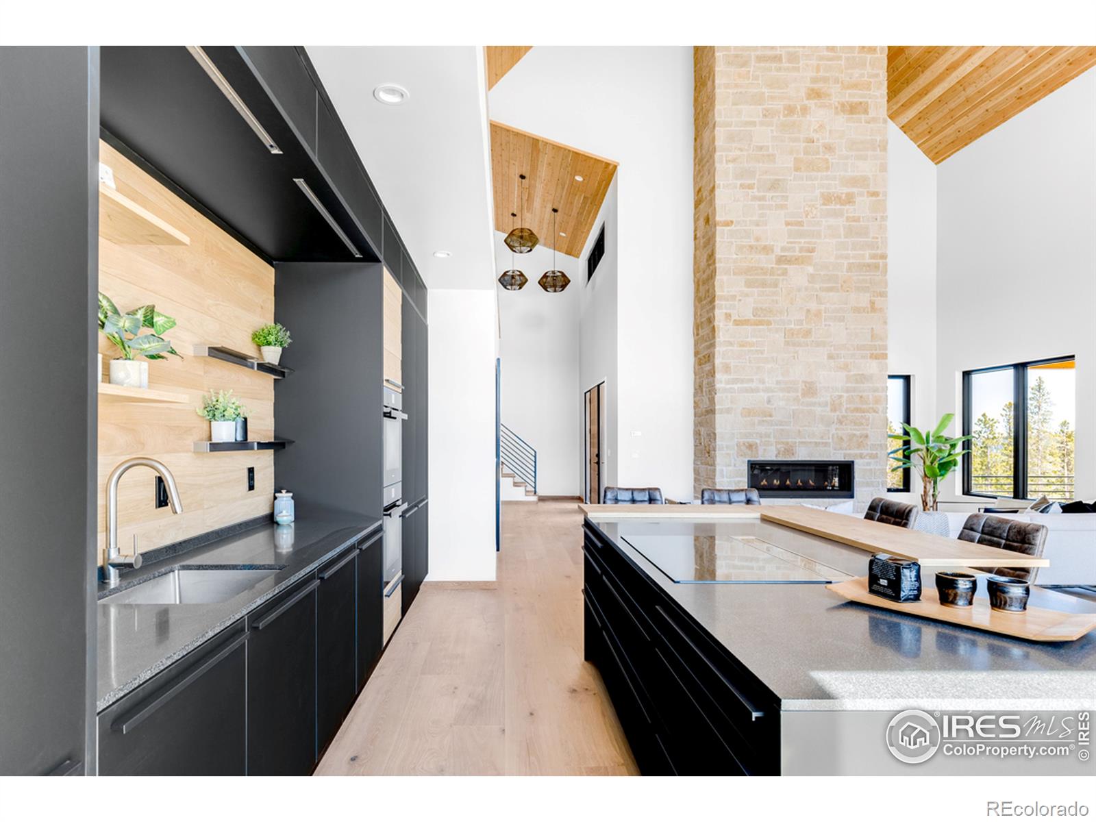 MLS Image #11 for 7  juneau circle,nederland, Colorado