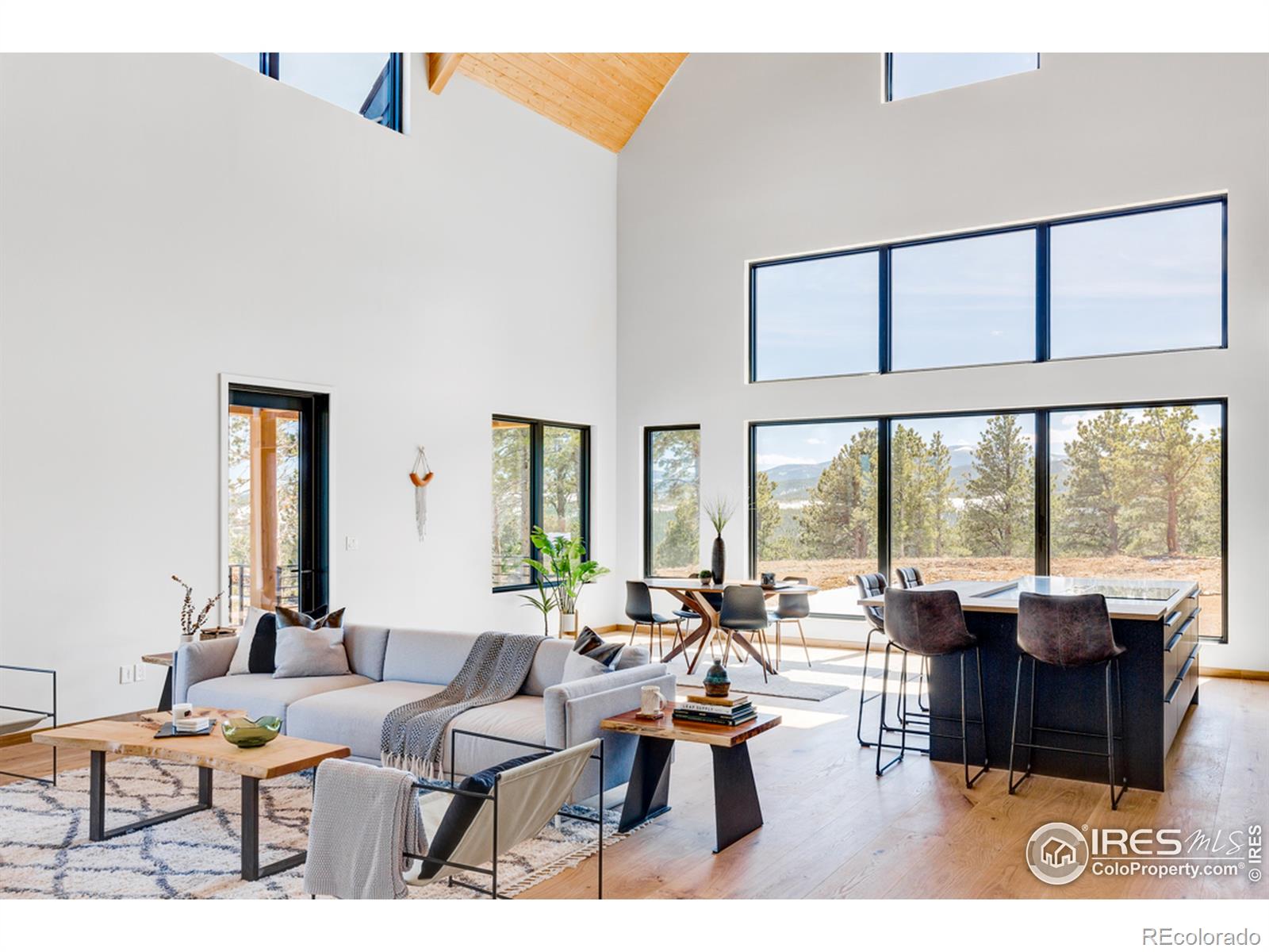 MLS Image #13 for 7  juneau circle,nederland, Colorado