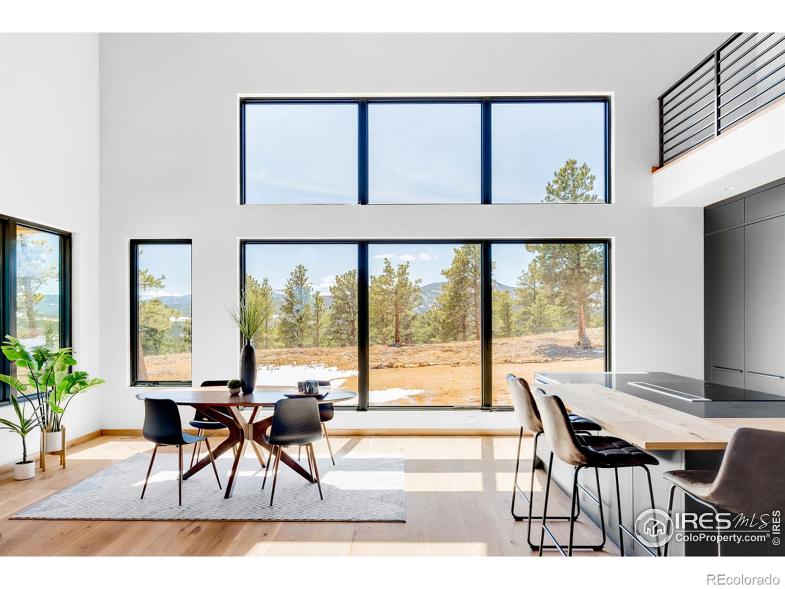 MLS Image #2 for 7  juneau circle,nederland, Colorado