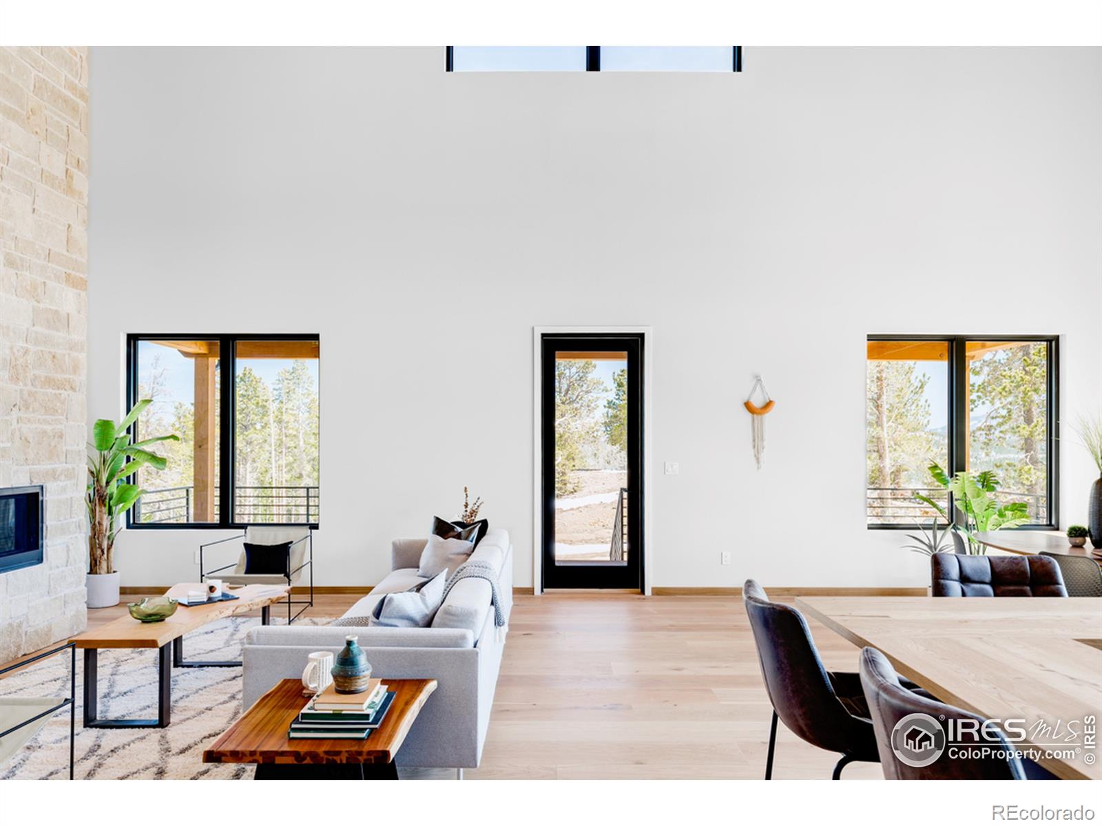 MLS Image #3 for 7  juneau circle,nederland, Colorado