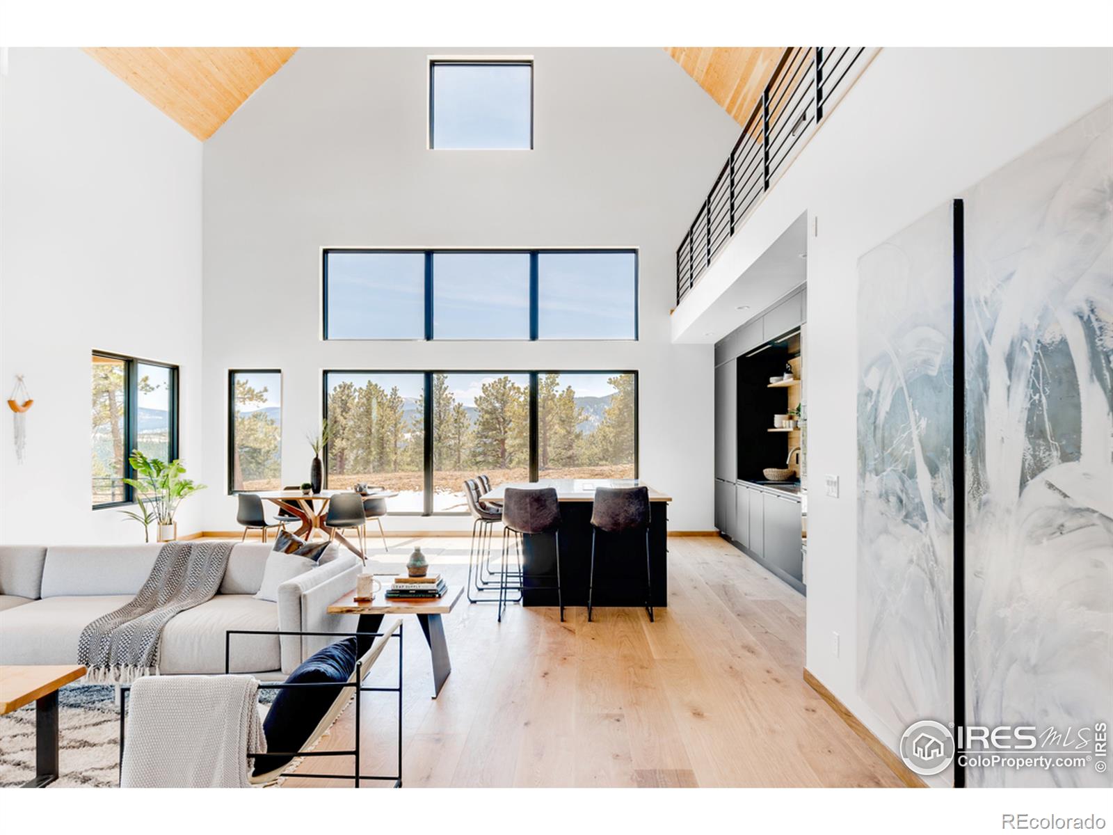 MLS Image #6 for 7  juneau circle,nederland, Colorado