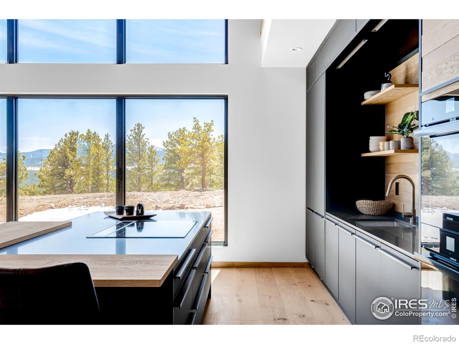 MLS Image #9 for 7  juneau circle,nederland, Colorado