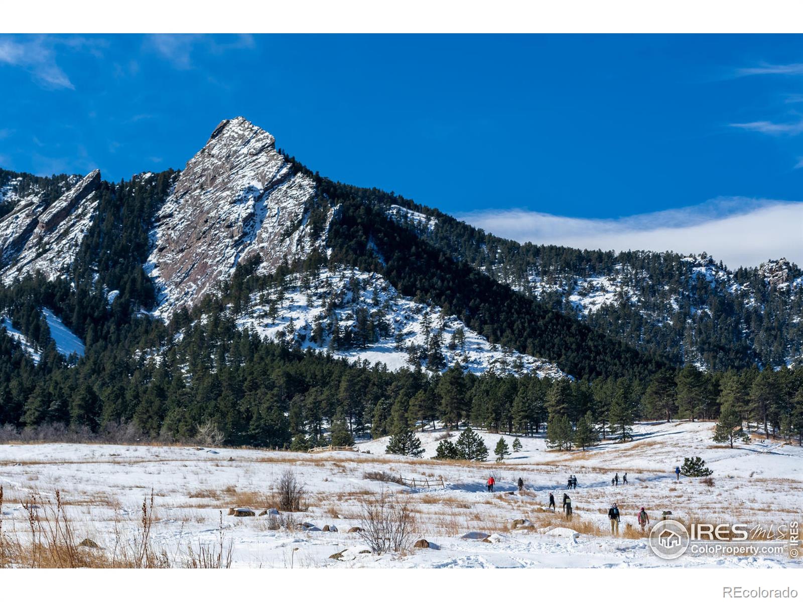 MLS Image #32 for 1441  mariposa avenue,boulder, Colorado