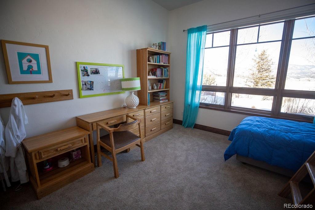 MLS Image #17 for 17459  red deer vista,buena vista, Colorado