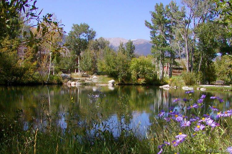 MLS Image #37 for 17459  red deer vista,buena vista, Colorado