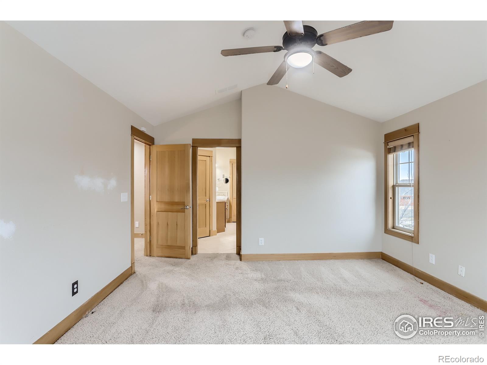 MLS Image #13 for 900  wilshire drive,berthoud, Colorado