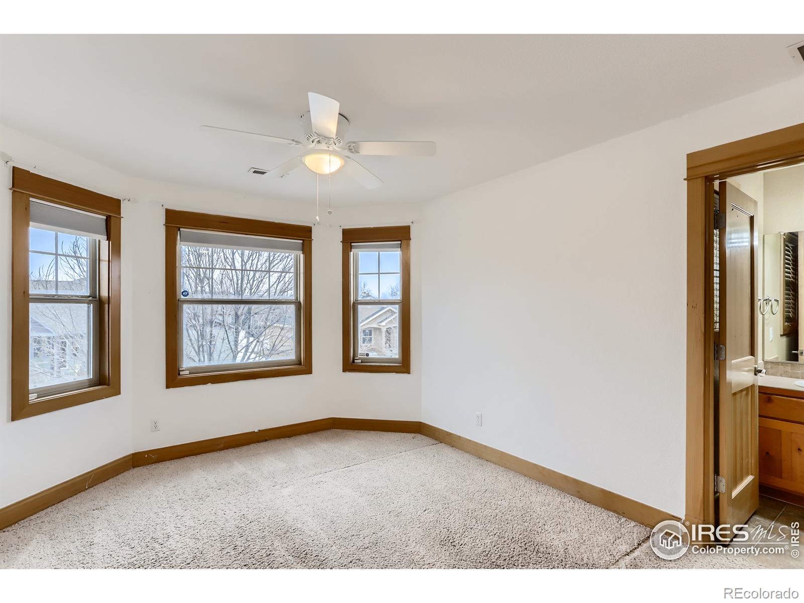 MLS Image #18 for 900  wilshire drive,berthoud, Colorado