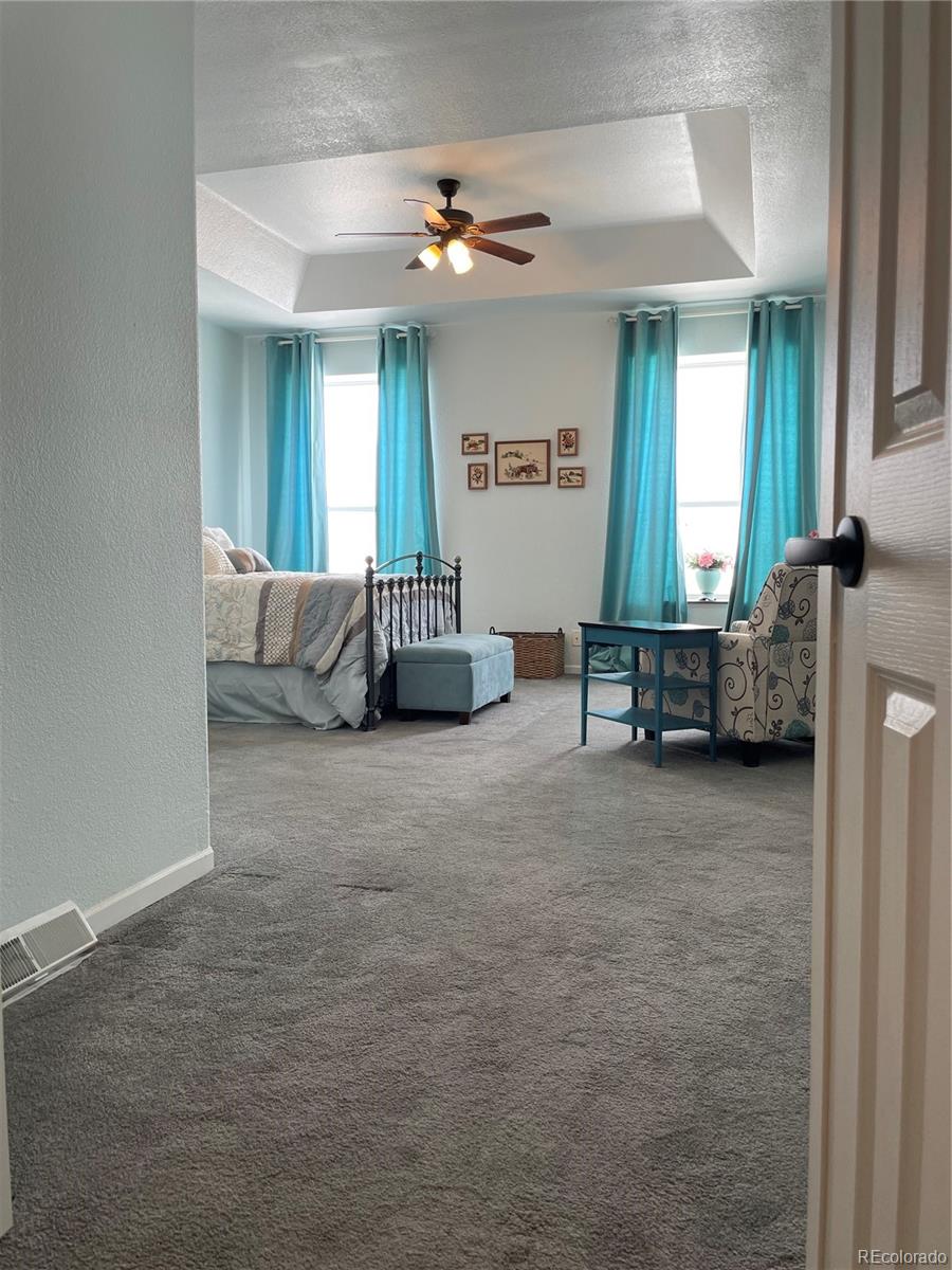 MLS Image #12 for 41649  way of patience ,deer trail, Colorado