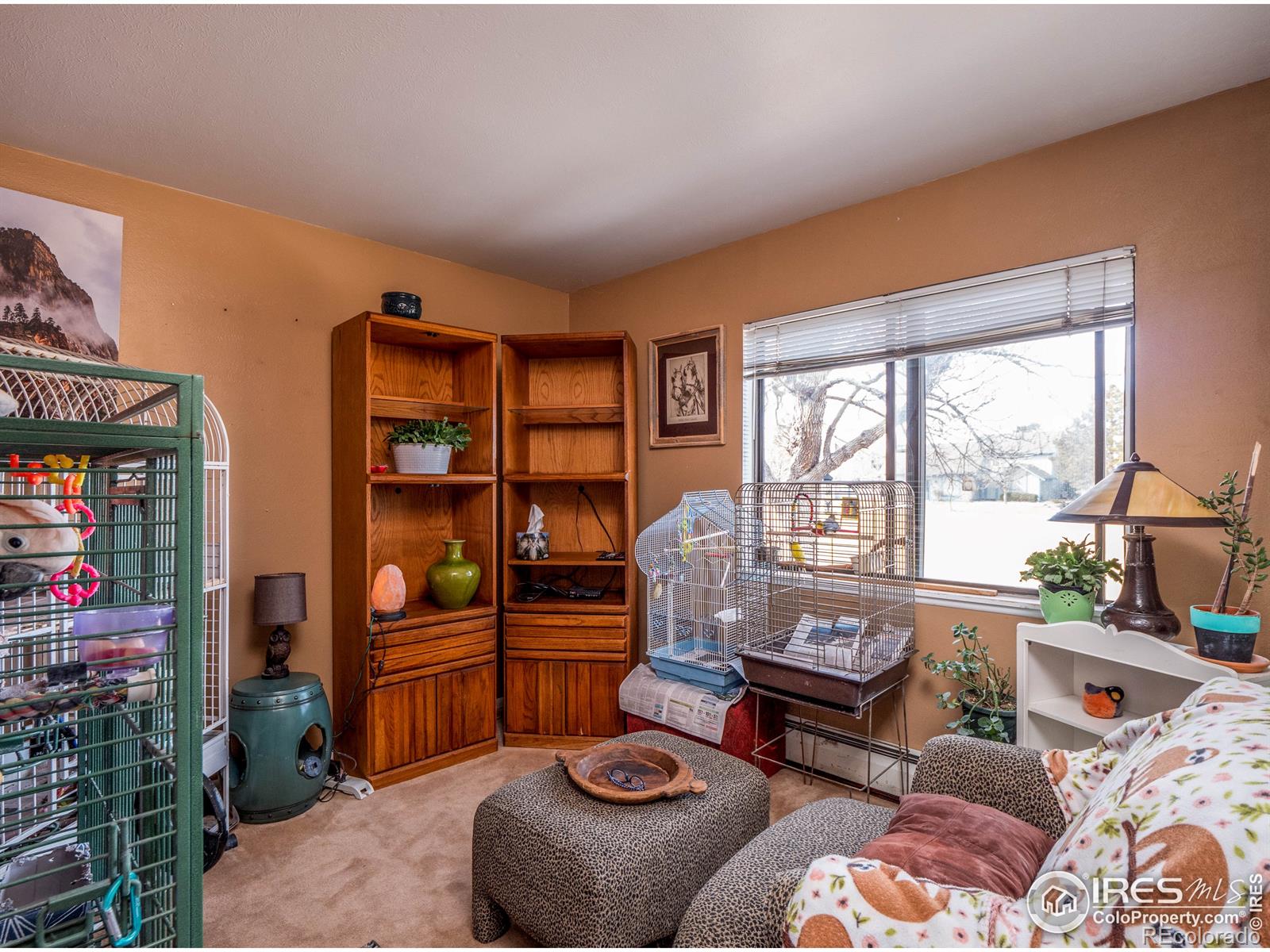 MLS Image #14 for 2419 s worchester court,aurora, Colorado