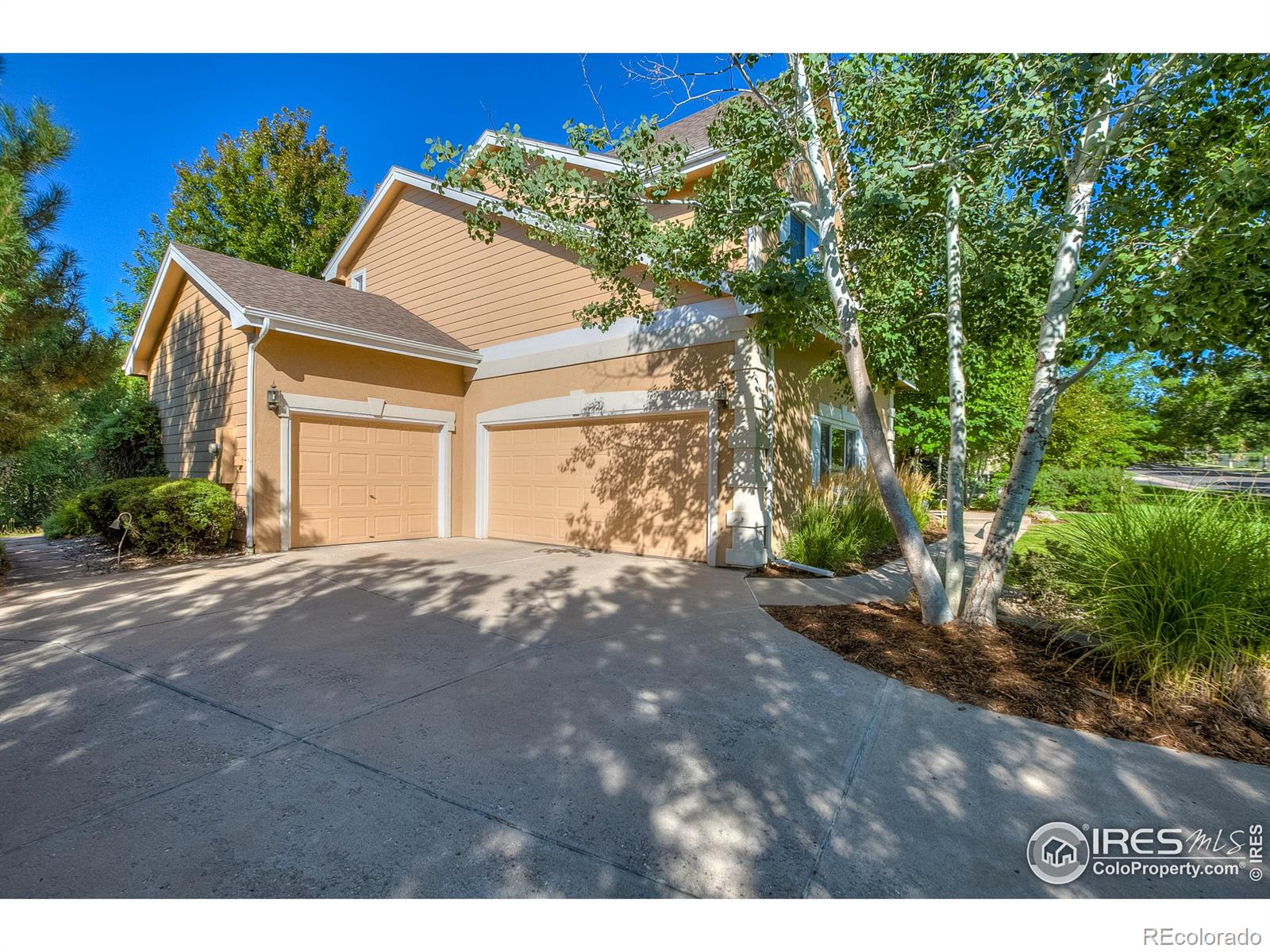 MLS Image #3 for 903  southridge greens boulevard,fort collins, Colorado