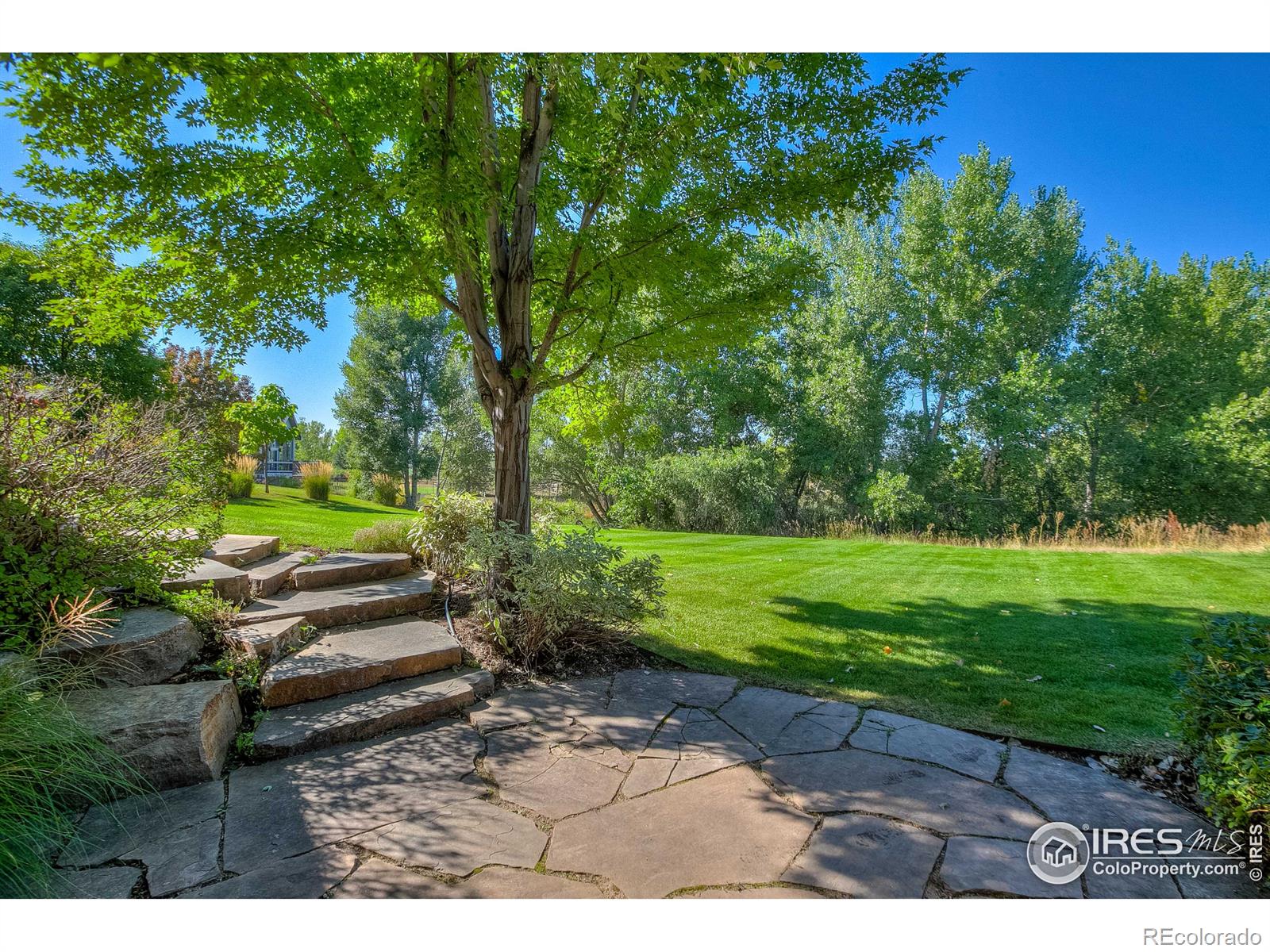 MLS Image #34 for 903  southridge greens boulevard,fort collins, Colorado