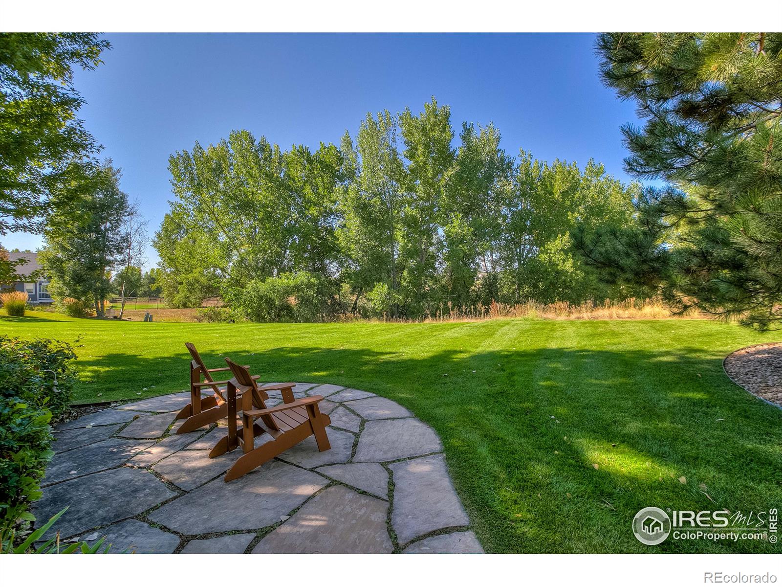 MLS Image #35 for 903  southridge greens boulevard,fort collins, Colorado