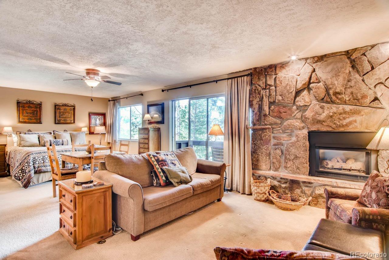 MLS Image #6 for 2275  storm meadows drive,steamboat springs, Colorado