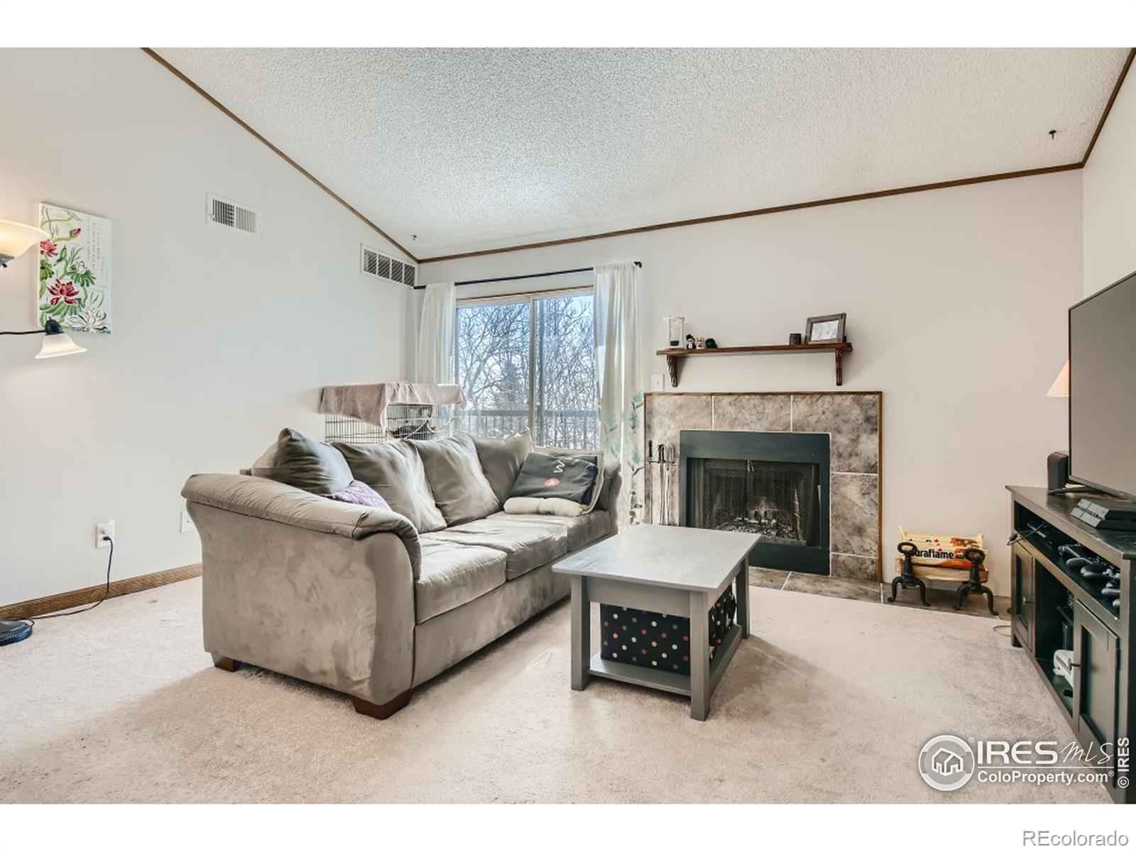 MLS Image #4 for 8813  colorado boulevard,thornton, Colorado