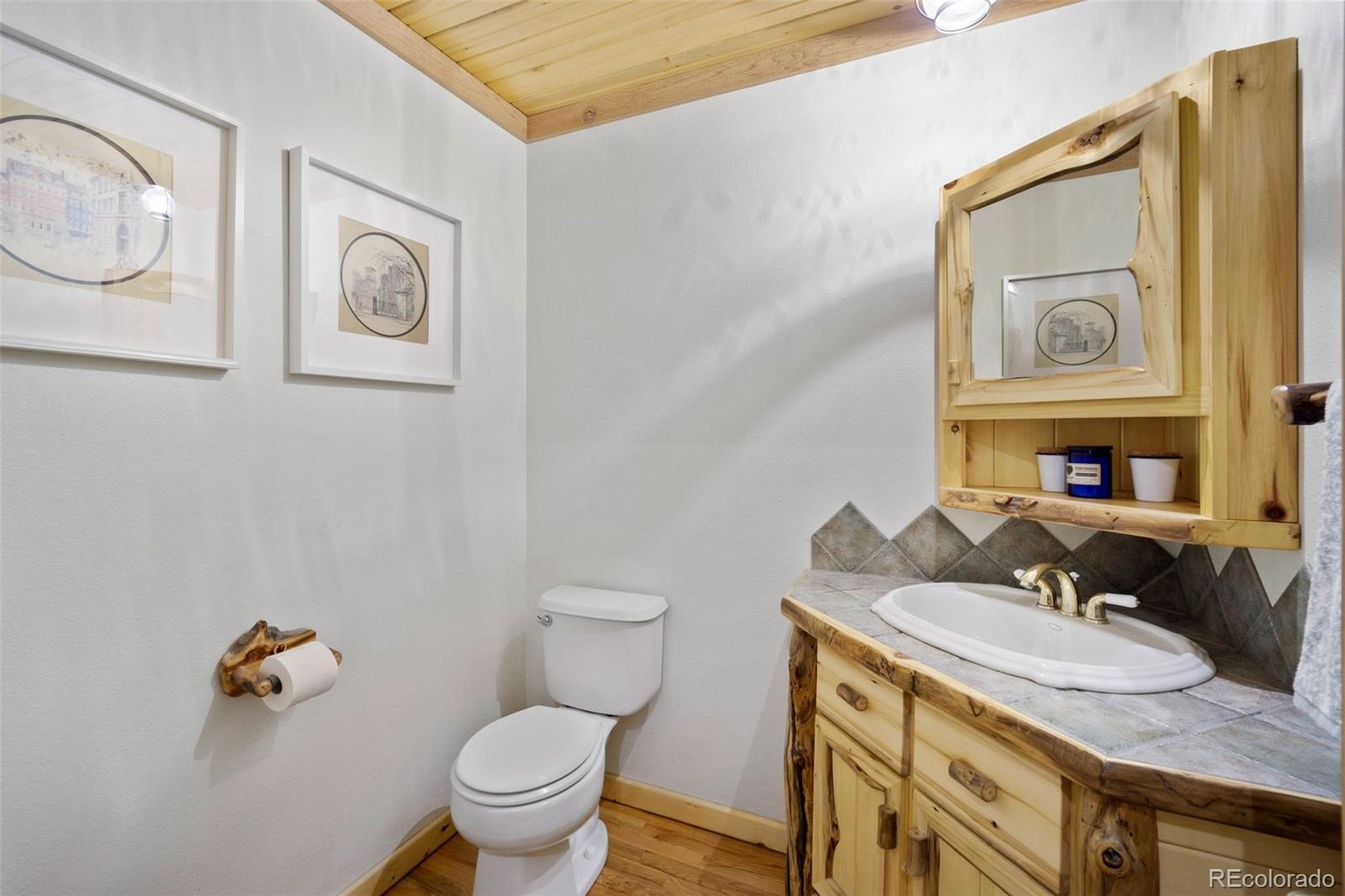 MLS Image #16 for 29054  mangy moose trail,pine, Colorado