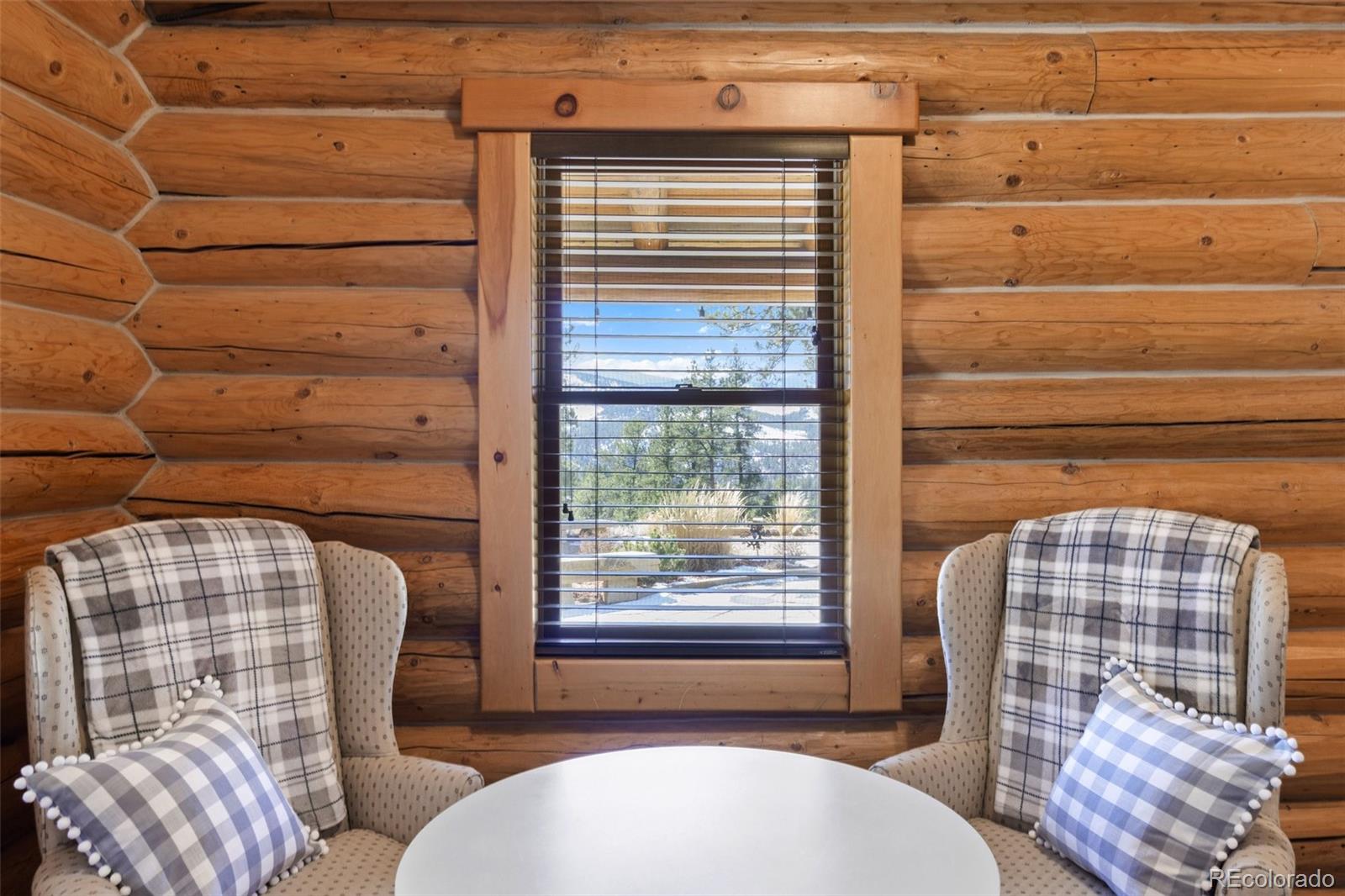 MLS Image #19 for 29054  mangy moose trail,pine, Colorado