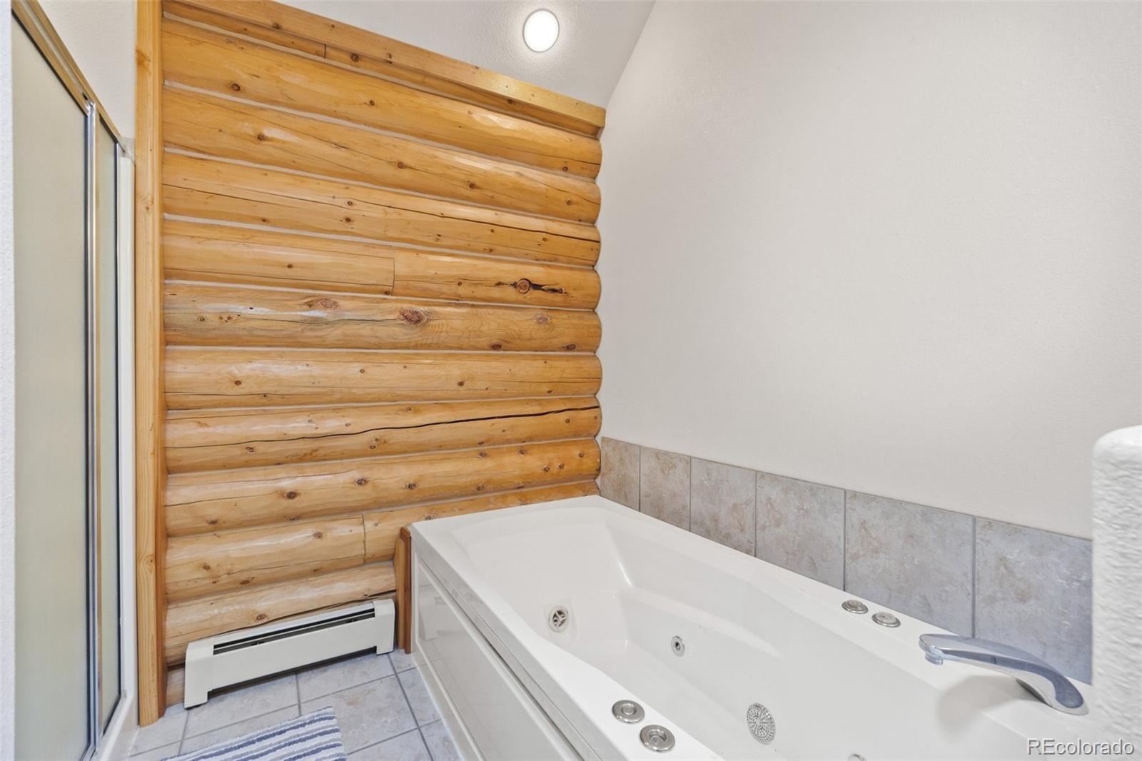MLS Image #21 for 29054  mangy moose trail,pine, Colorado