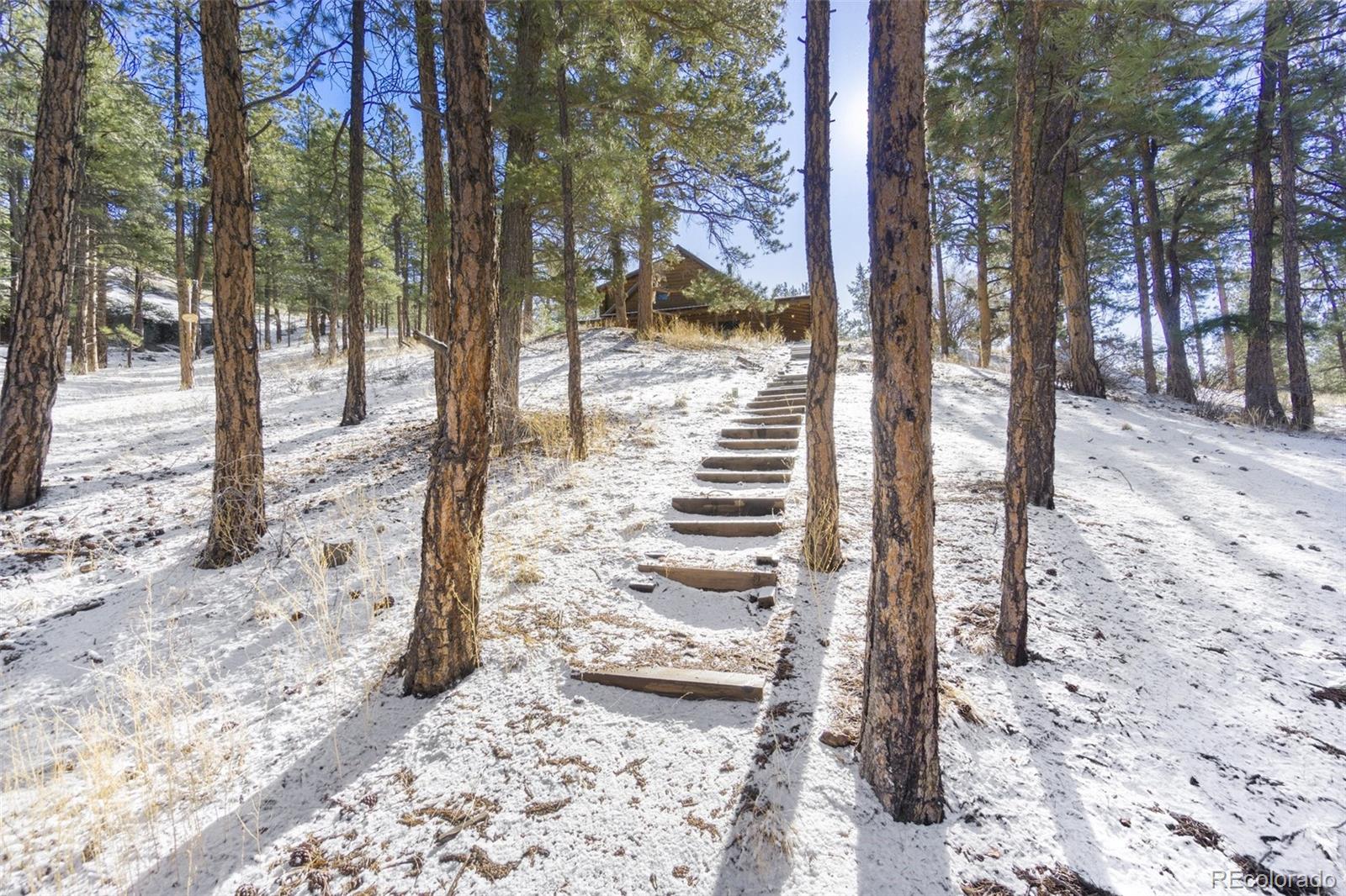 MLS Image #33 for 29054  mangy moose trail,pine, Colorado